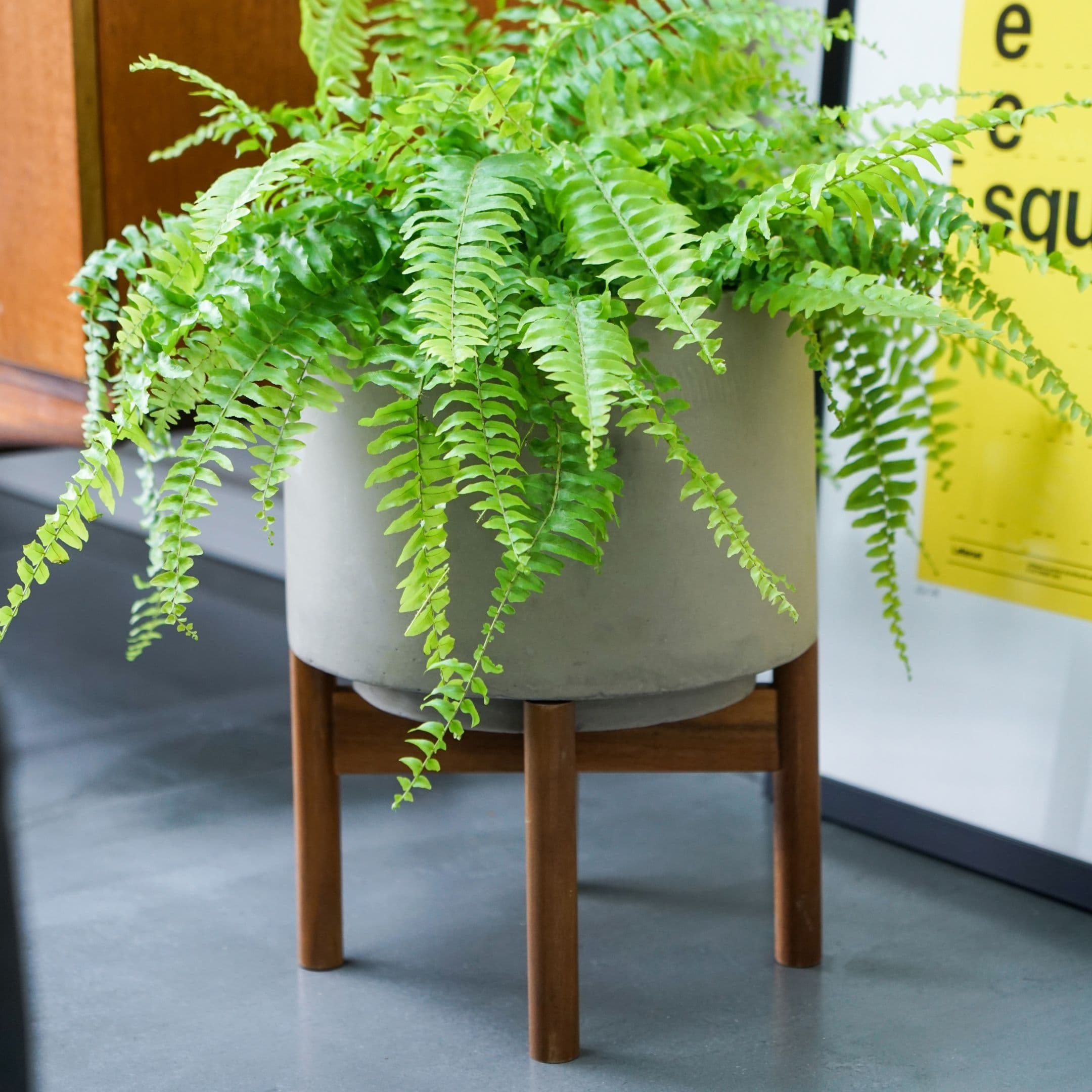 Vigo Concrete Planter Stand H28cm