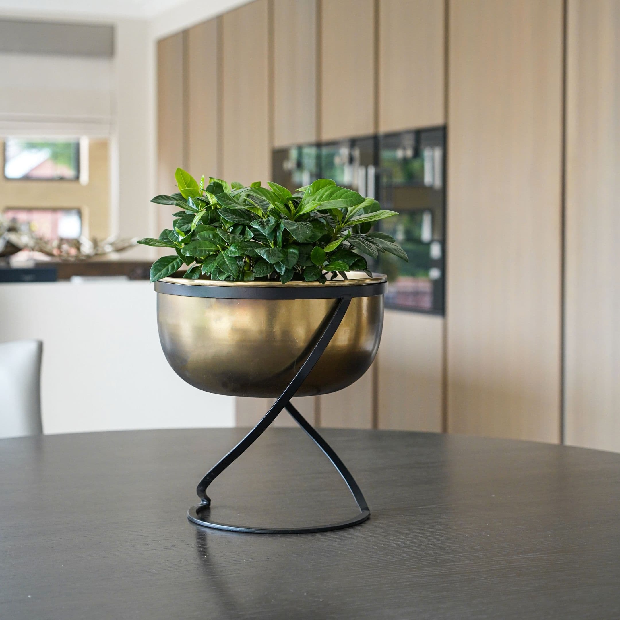 Indoor Kensington Brass Metal Round Planter on Stand H30cm W28cm