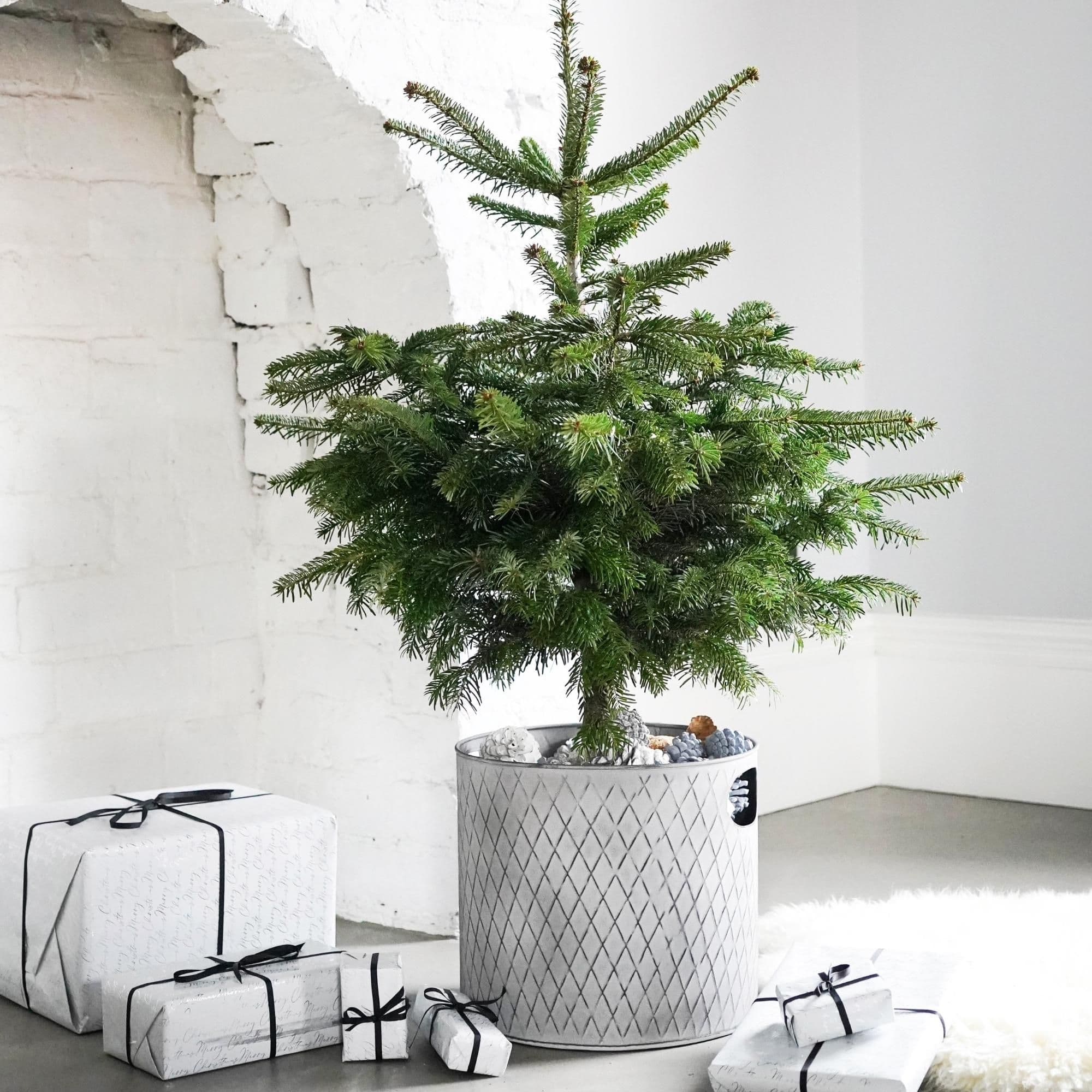 Indoor Christmas Tree Bucket or Log Storage Zinc Dimensions H28cm W28cm
