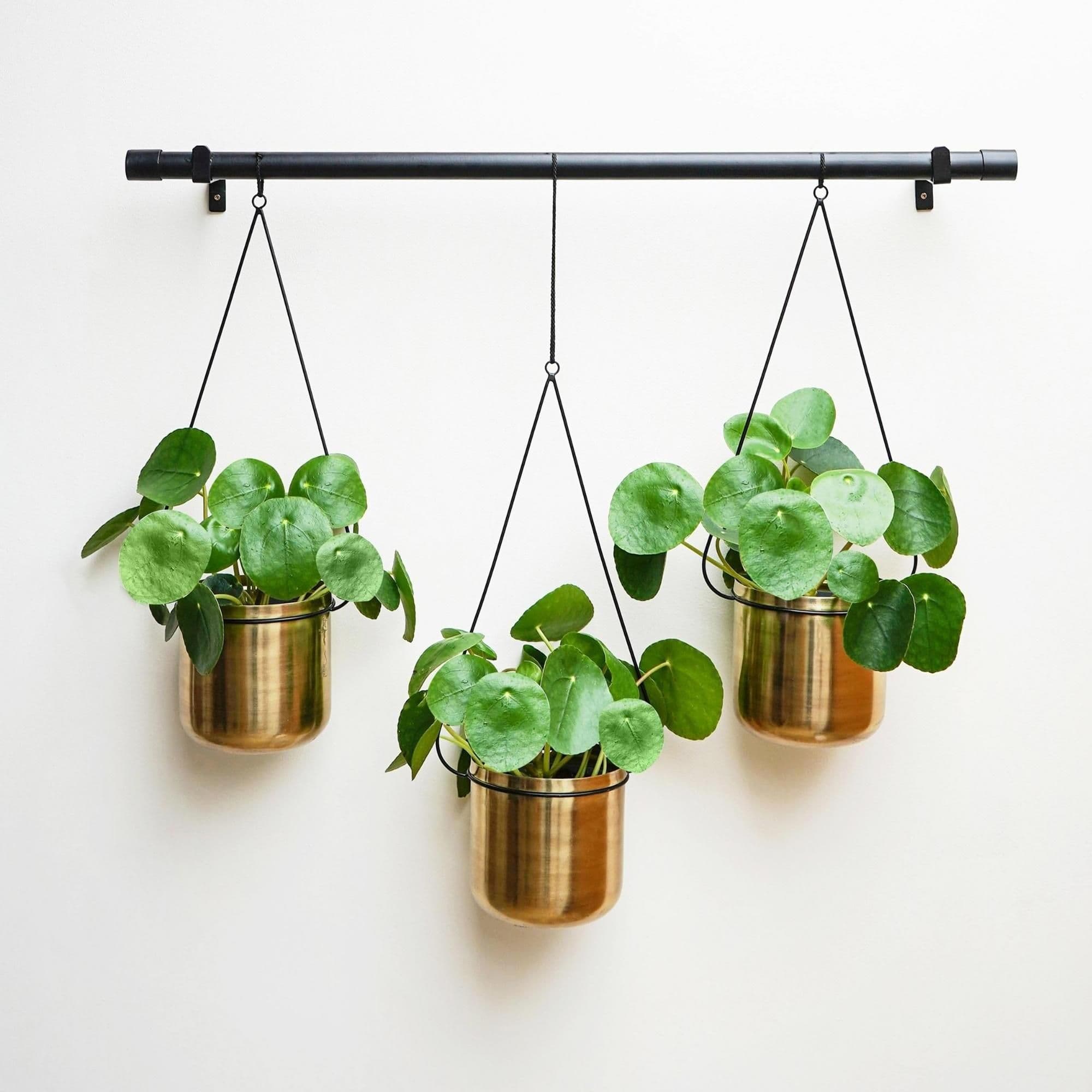 Linear Hanging Planters Gold
