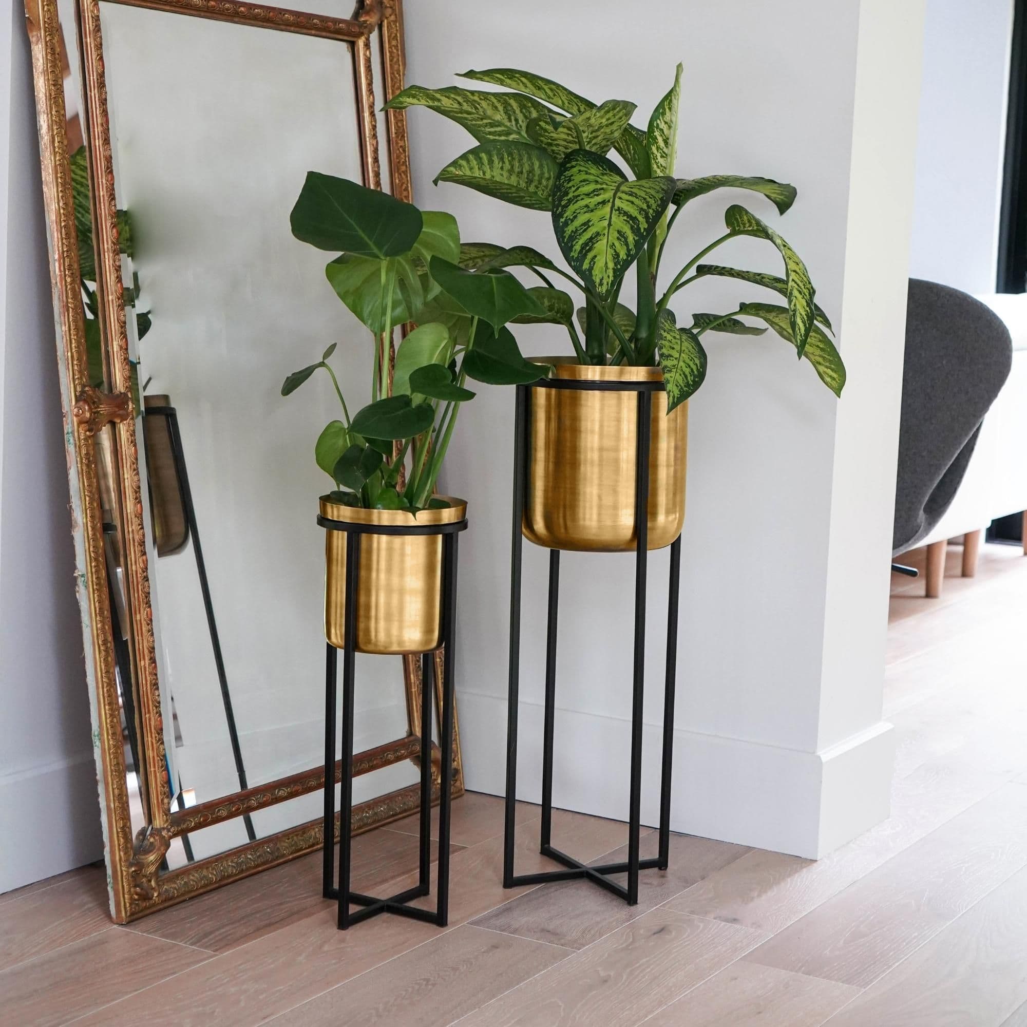 Calla Planter Stand Black Antique Gold H58cm x D22cm