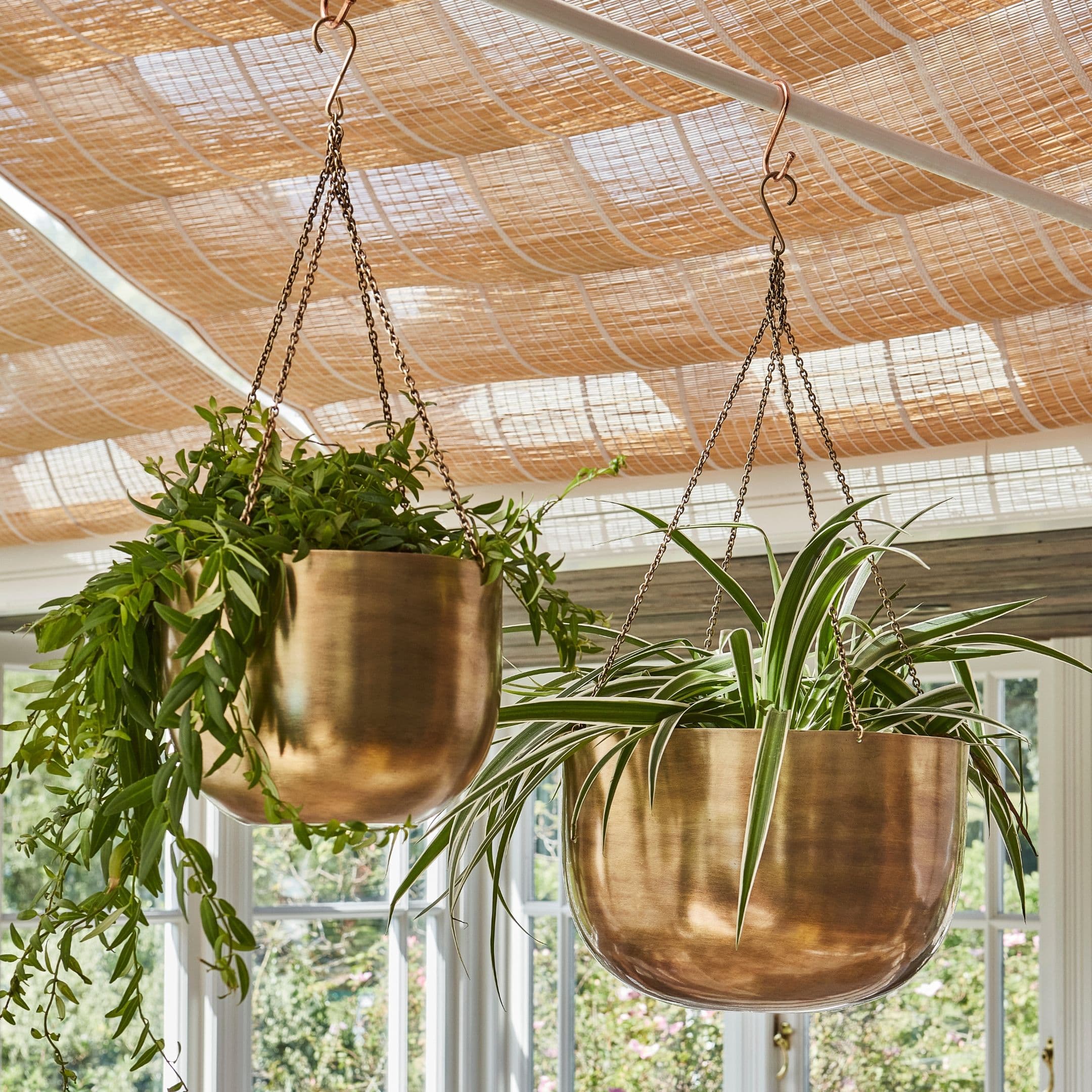 Indoor Mayfair Antique Brass Hanging Planter H20cm x D30cm