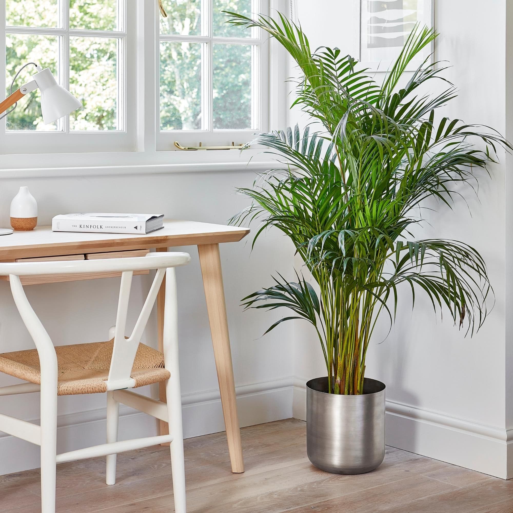 Indoor Chelsea Planter H28cm x D28cm