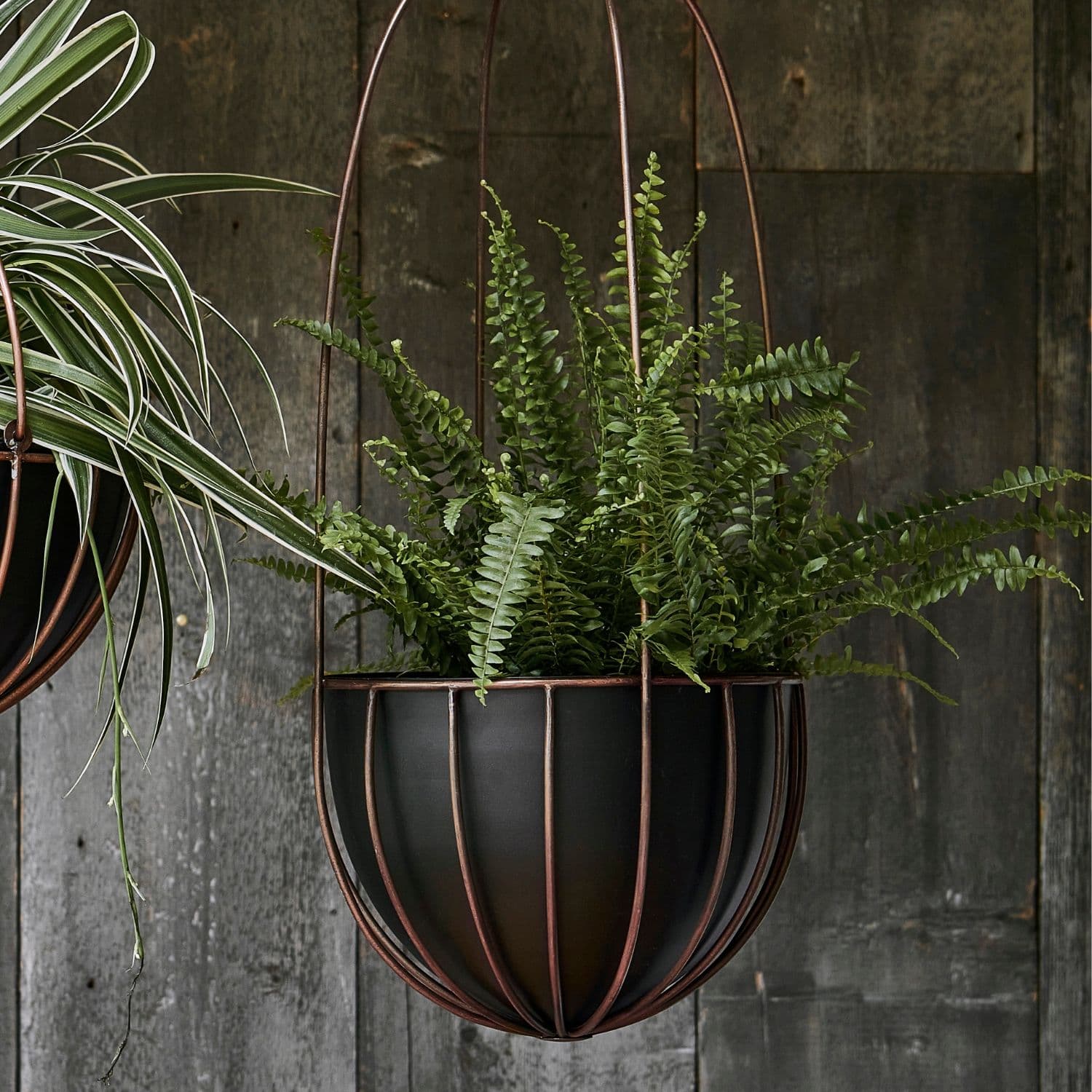 Indoor Kensington Tall Hanging Planter H60cm x D24cm