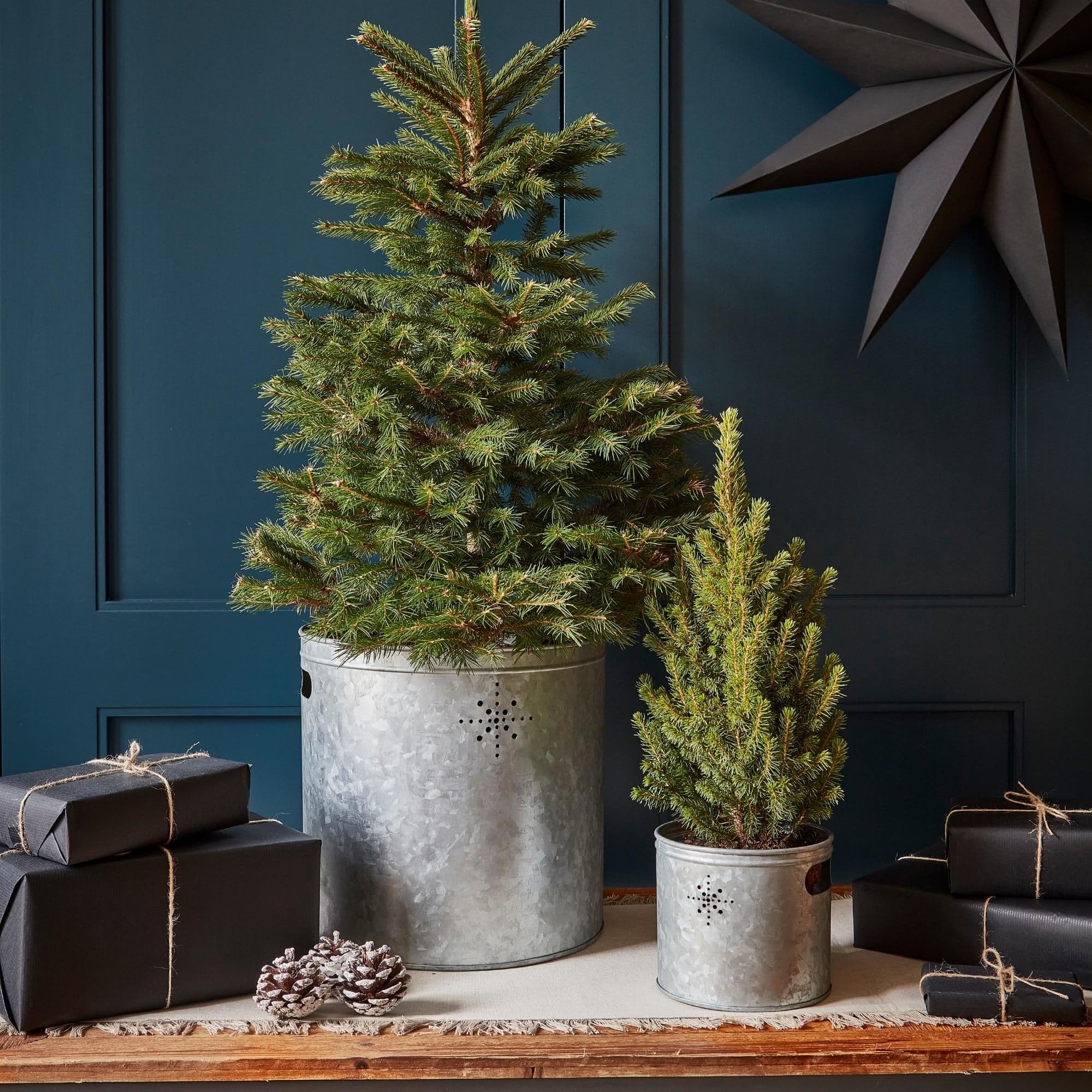Indoor Christmas Tree Bucket or Kindling Storage Galvanised Steel Star Dimensions H23cm W23cm