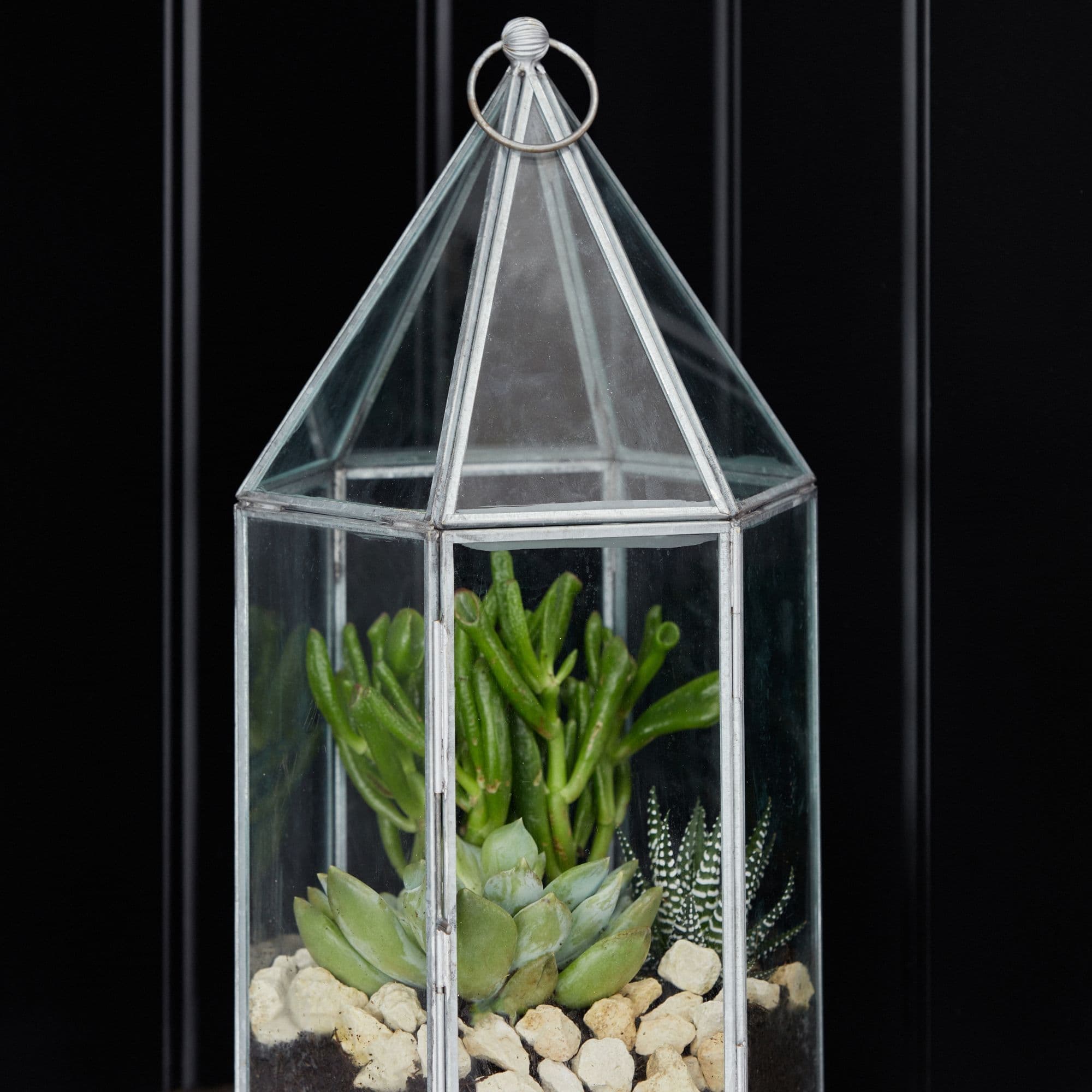 Glasshouse Terrarium Galvanised H36cm x W18cm