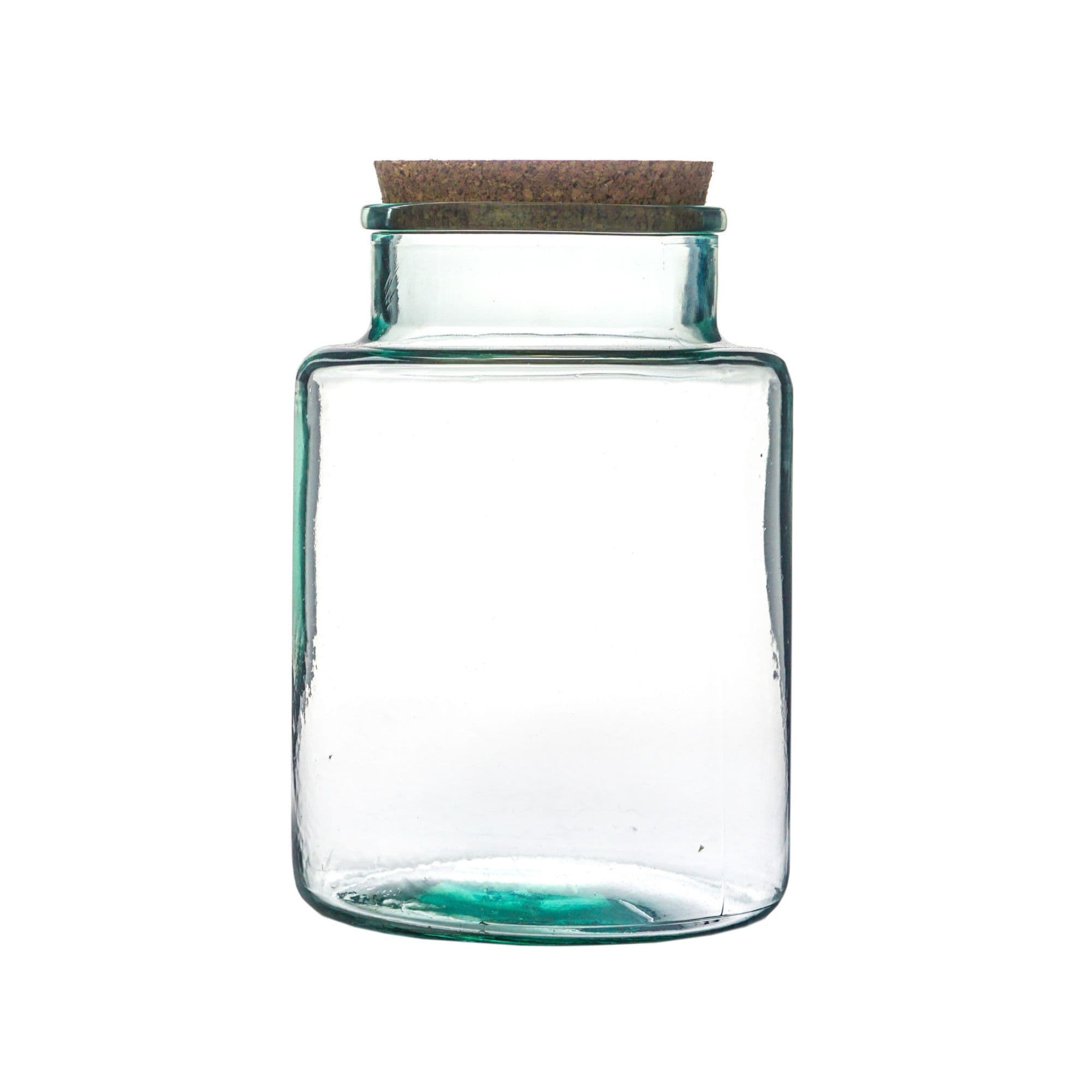 Bottle Shape Large Terrarium DIY Kit H26.5cm W19cm