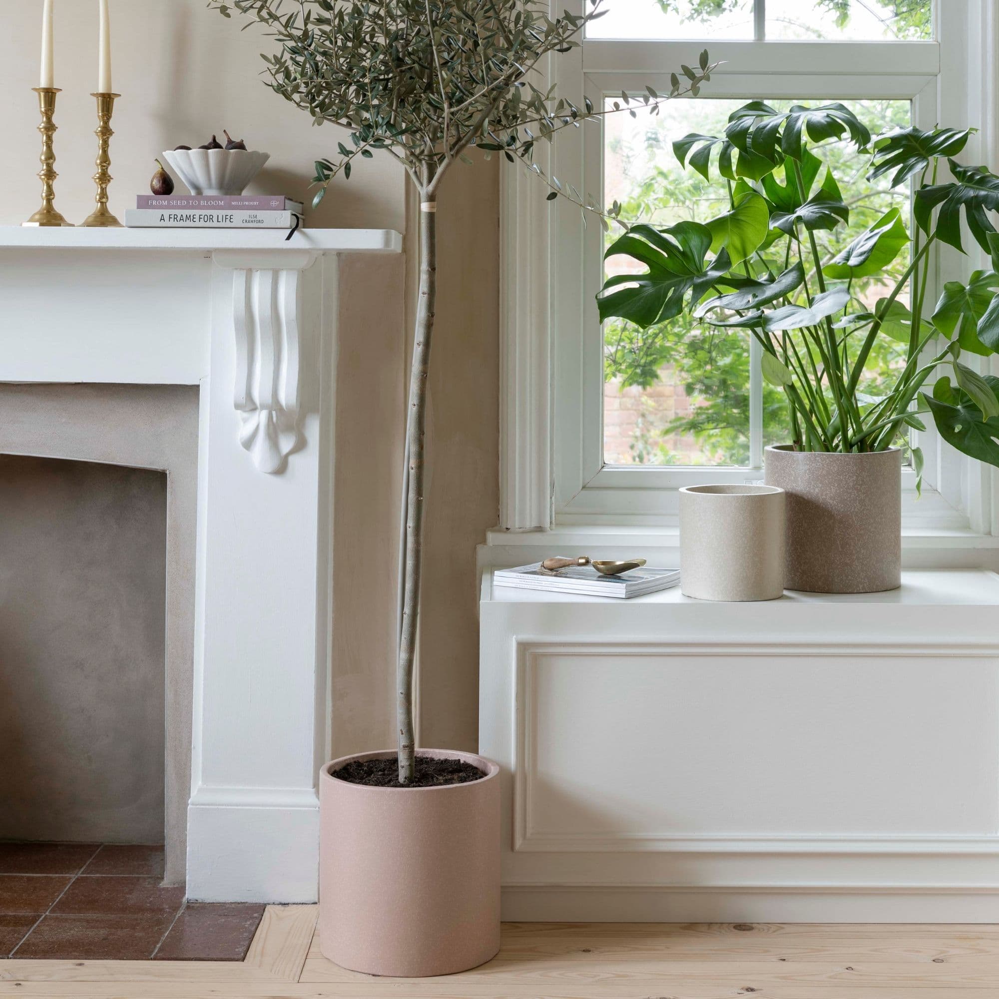 Valetta Blush Terrazzo Planter Set 3 Premium Glaze