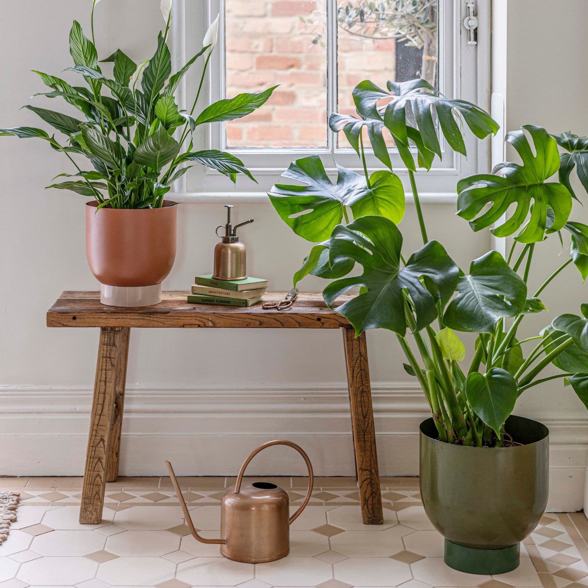 Indoor Austin Dual Rubarb Metal Planters Set 2 *extra large*