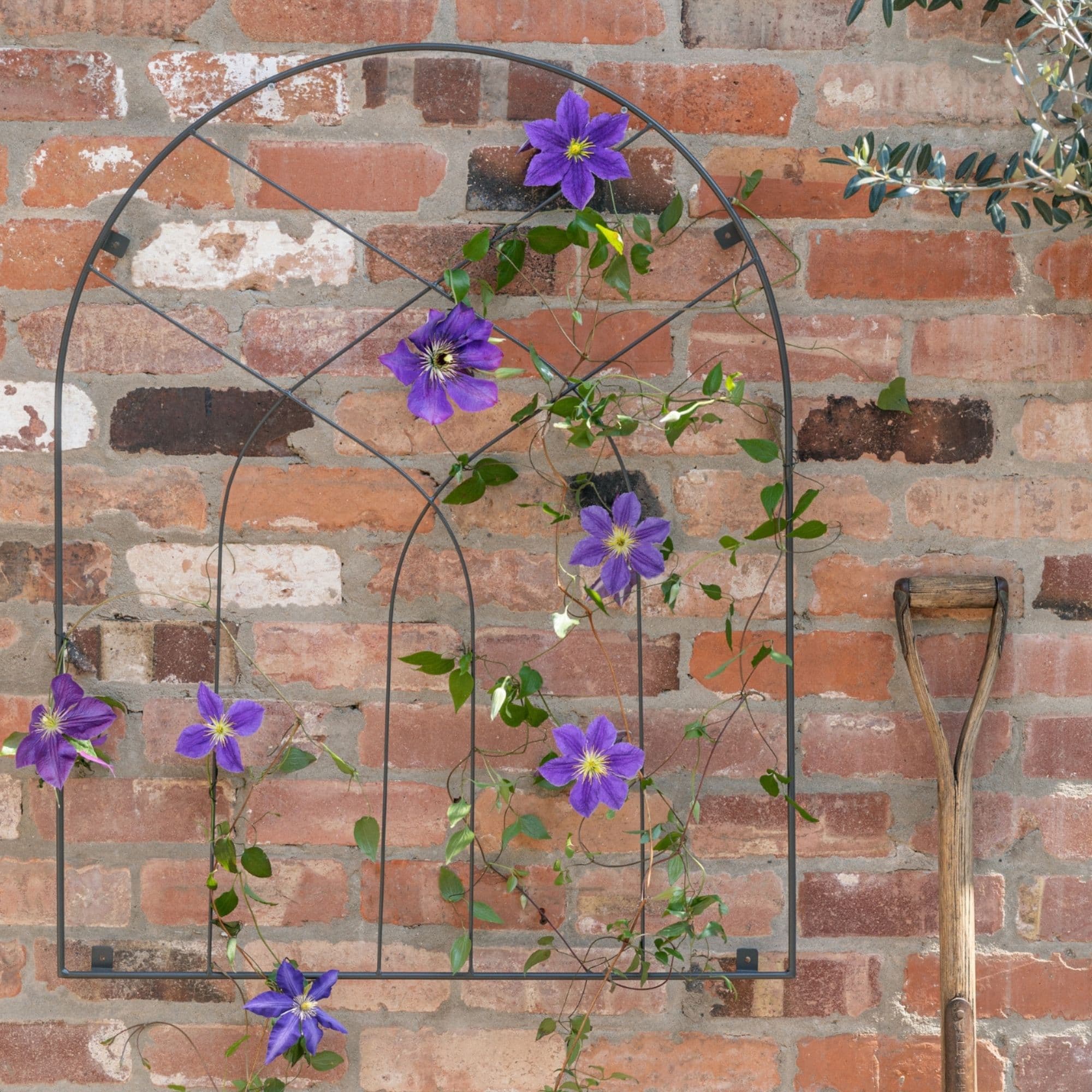 Outdoor Arch Trellis H100cm W80cm