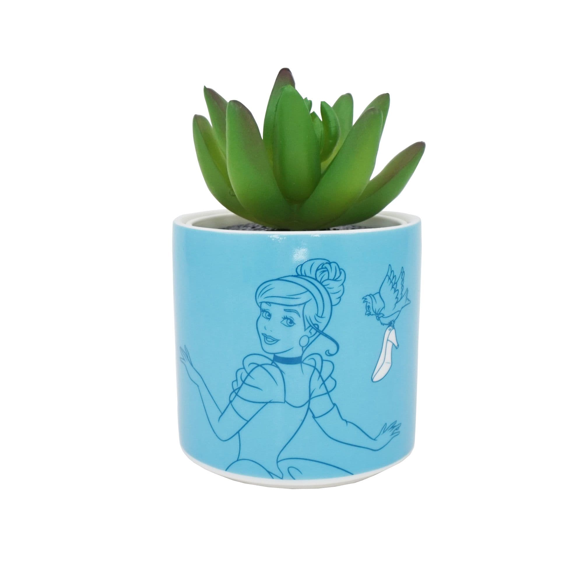 Cinderella Plant Pot