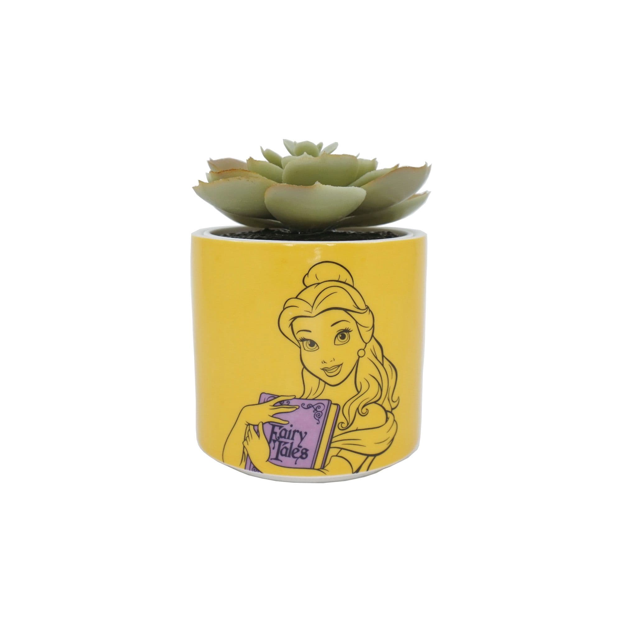 Beauty & Beast Faux Plantpot