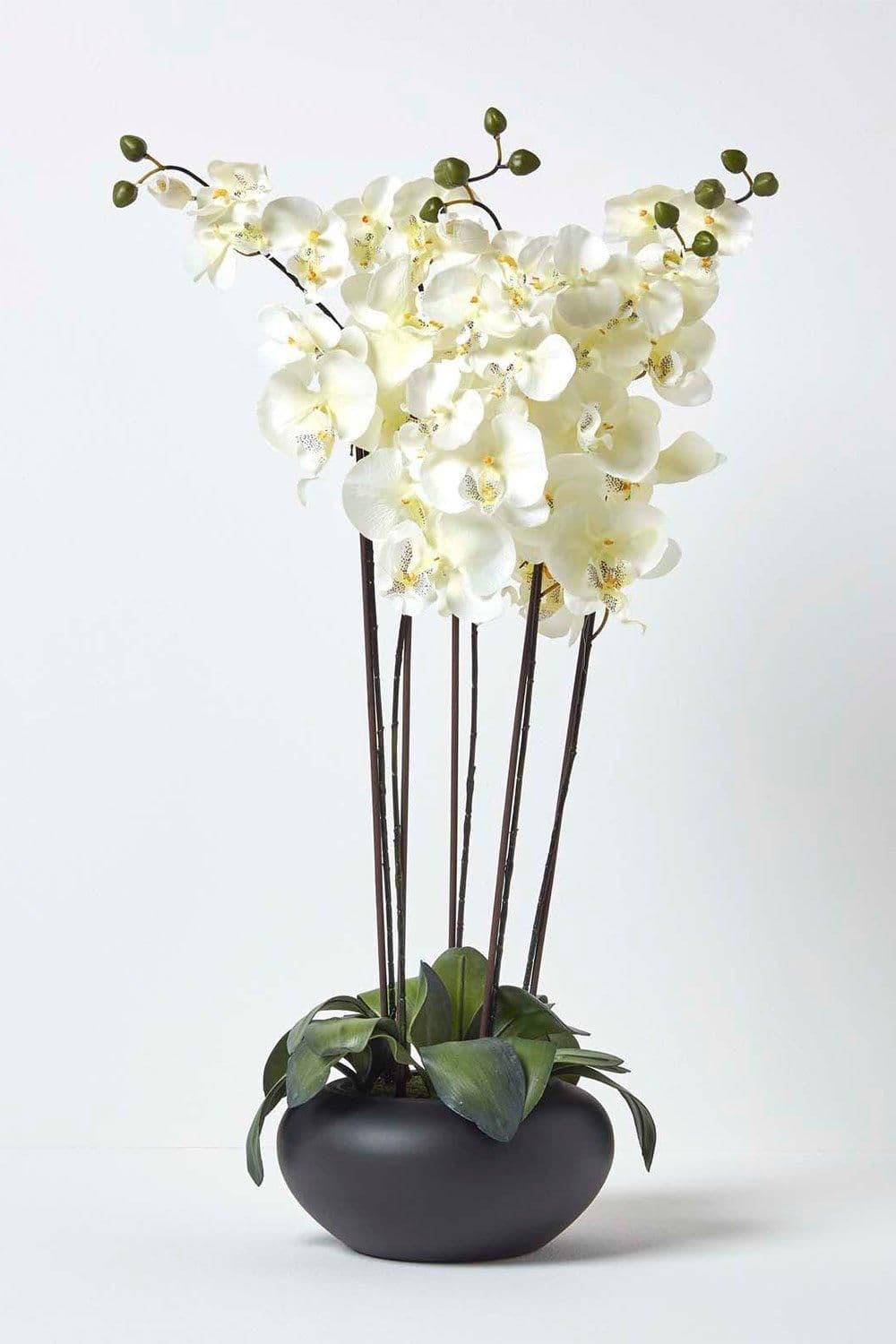 Large Style Cream Orchids Bowl