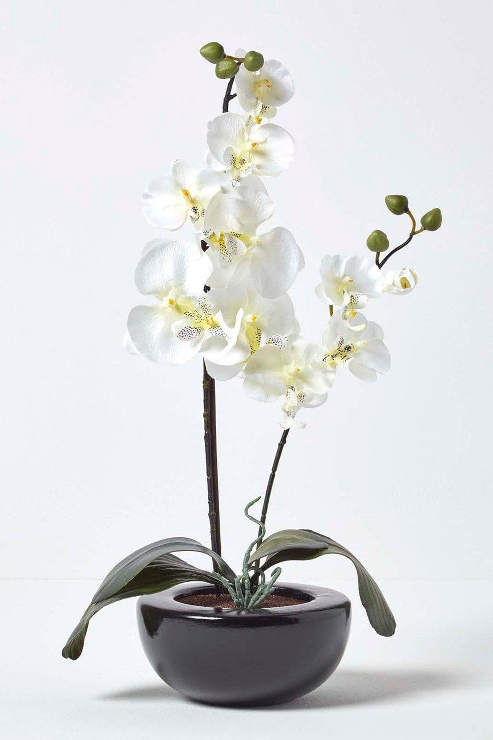 Orchids Style Bowl