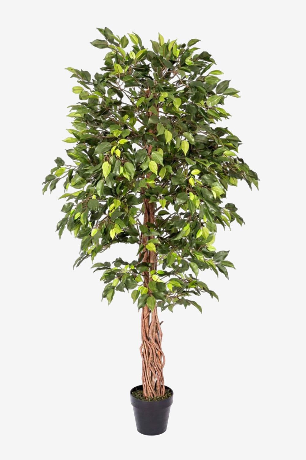 Artificial Ficus Tree Twisted Real Wood Trunk 6 Ft
