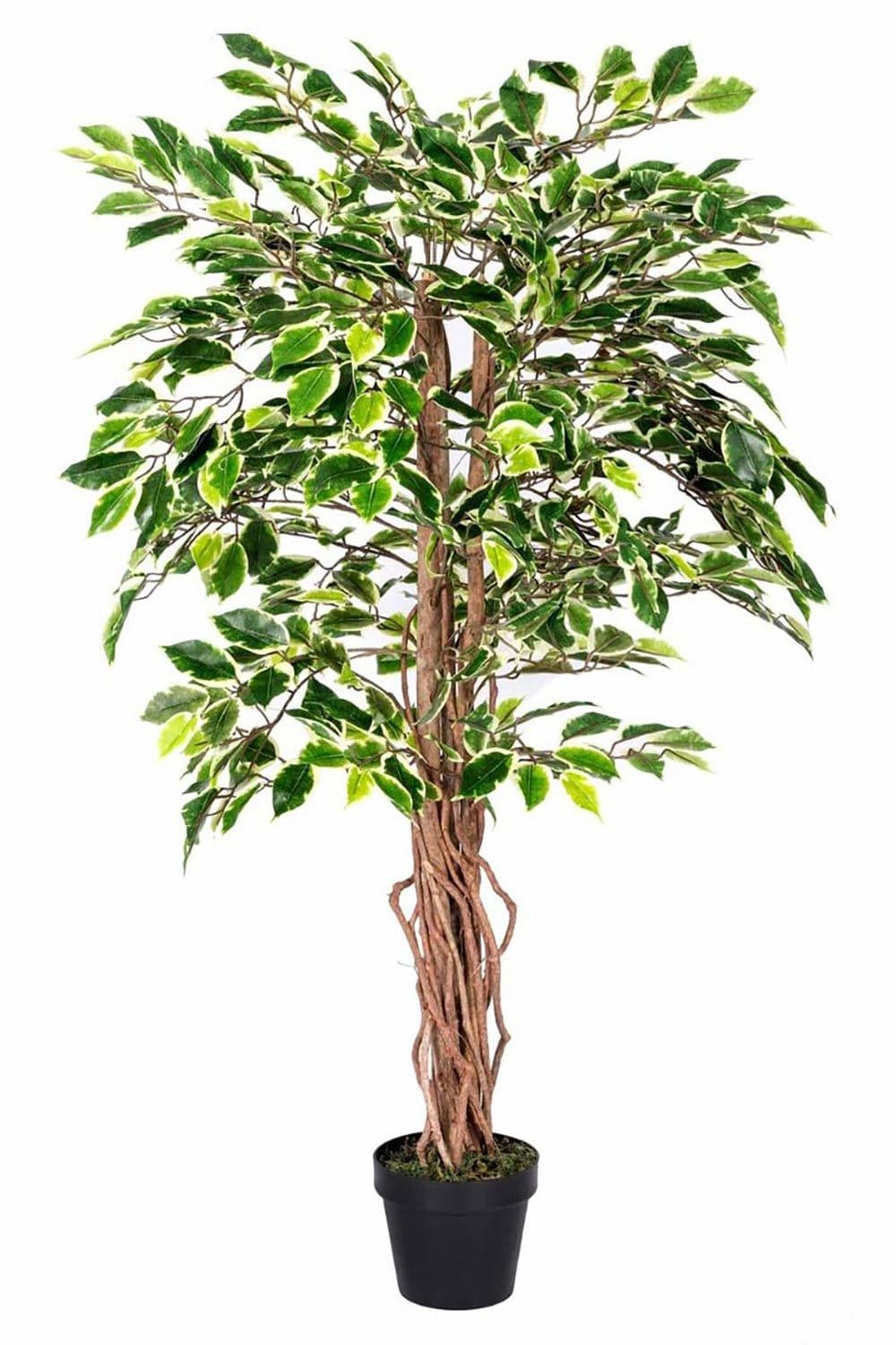 Variegated Artificial Ficus Tree Real Wood Trunk 4 Ft