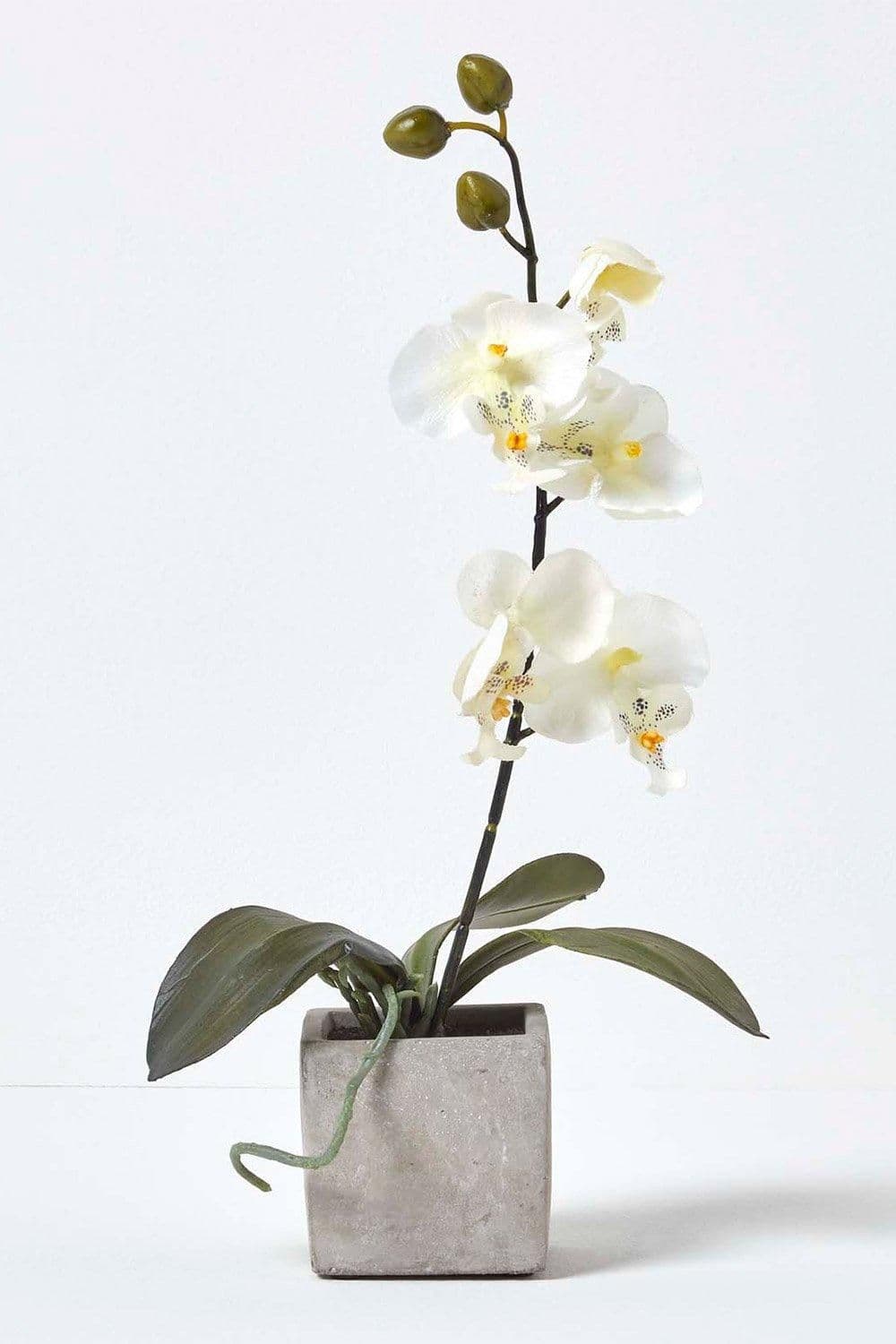 Artificial Orchid Flowers Pot Indoor & Outdoor Decoration