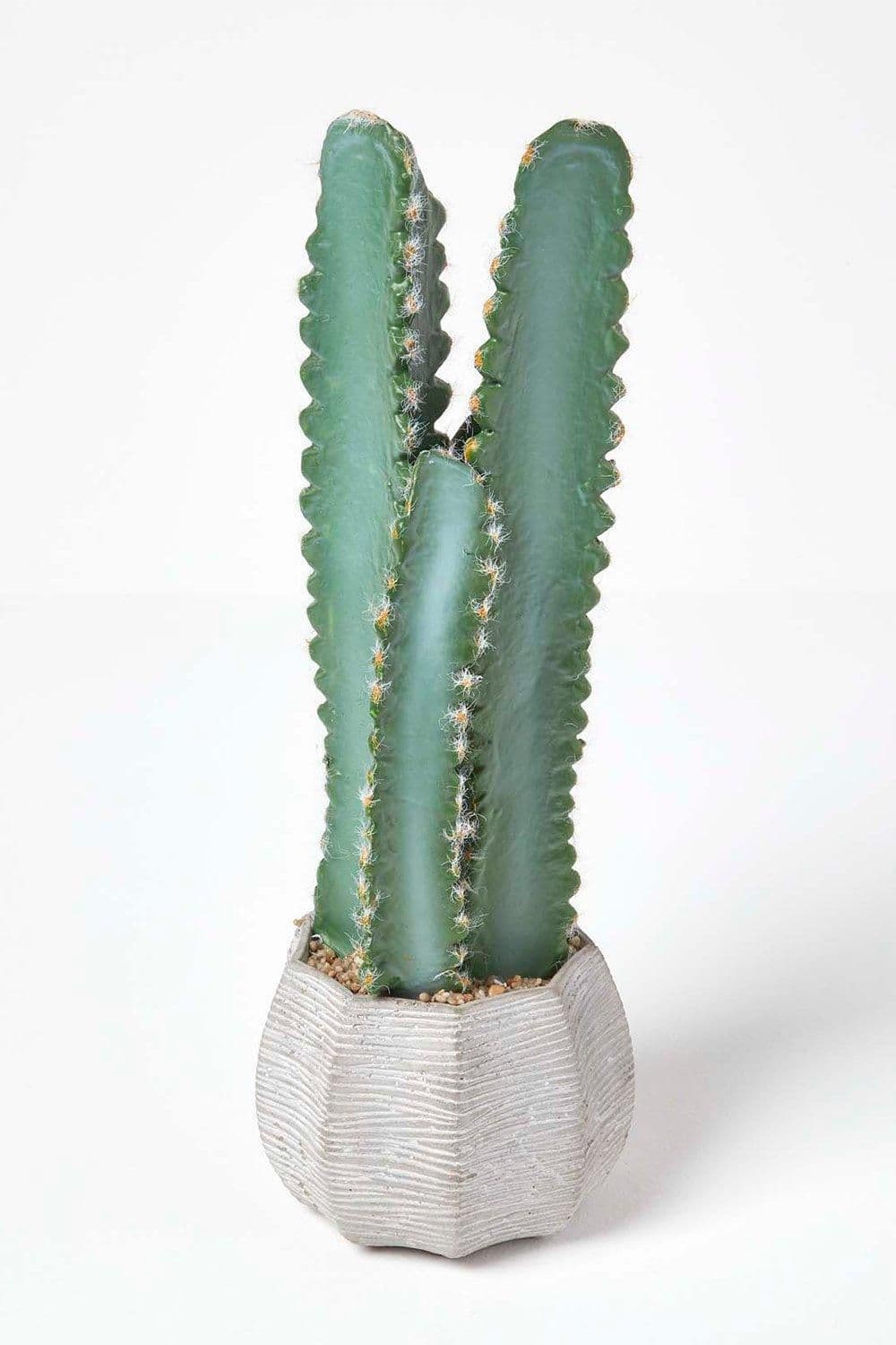 Hylcocereus Artificial Cactus Decorative Textured Pot