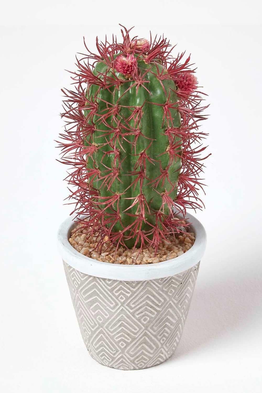 Denmoza Artificial Cactus Flowers Patterned Pot 25 cm Tall