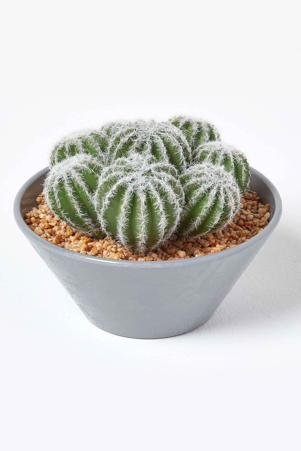 Artificial Barrel Cactus Arrangement Round Pot 17 cm Tall
