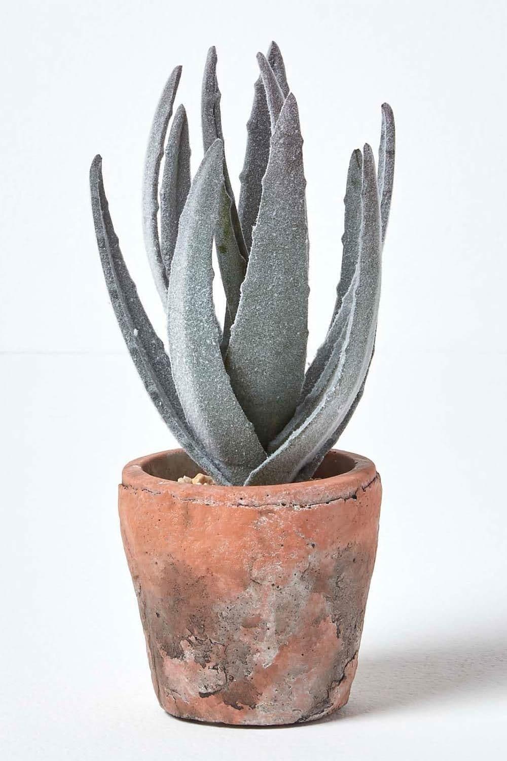 Aloe Vera Artificial Succulent Decorative Rustic Terracotta Pot