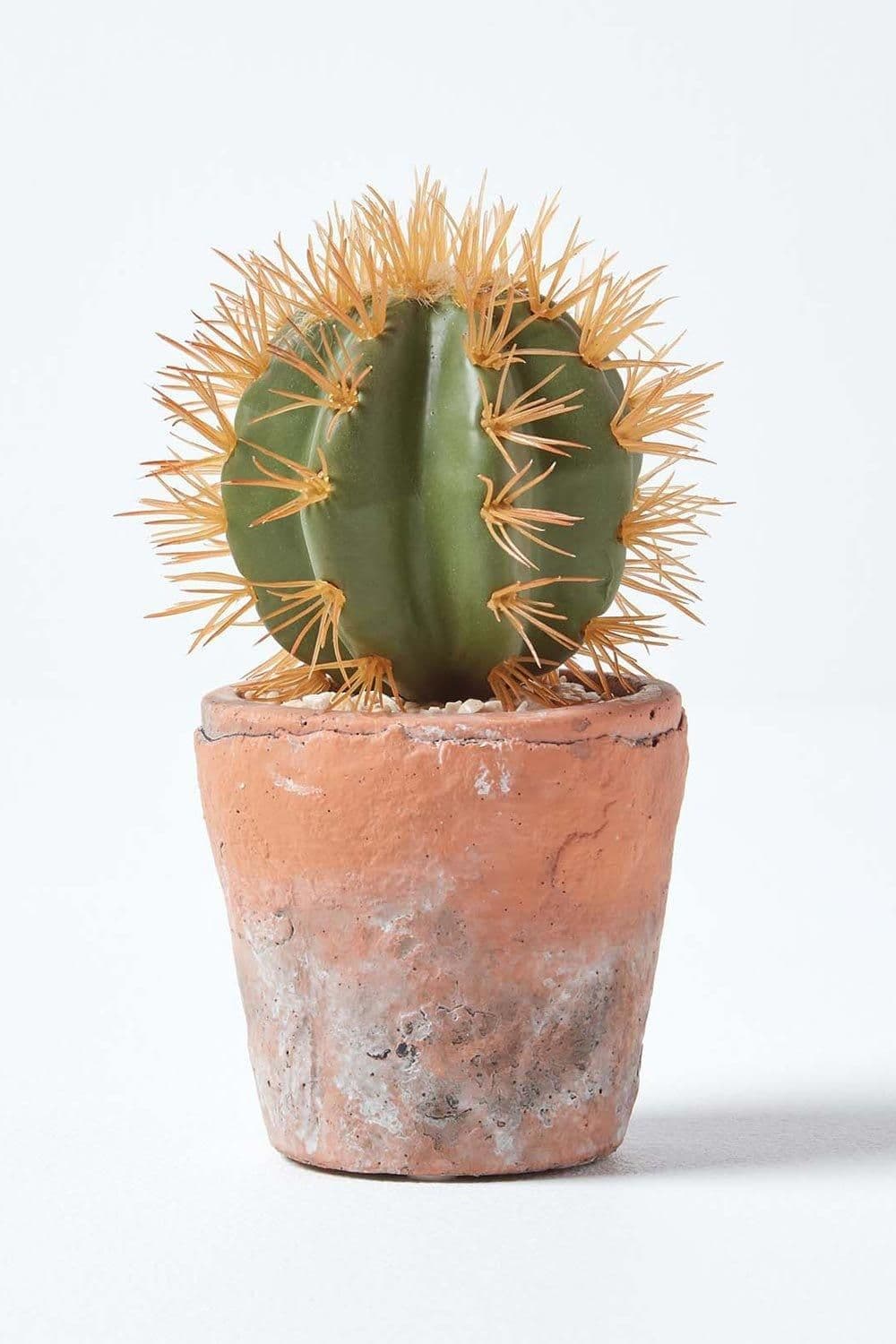 Small Round Artificial Cactus Terracotta Pot 15cm Tall