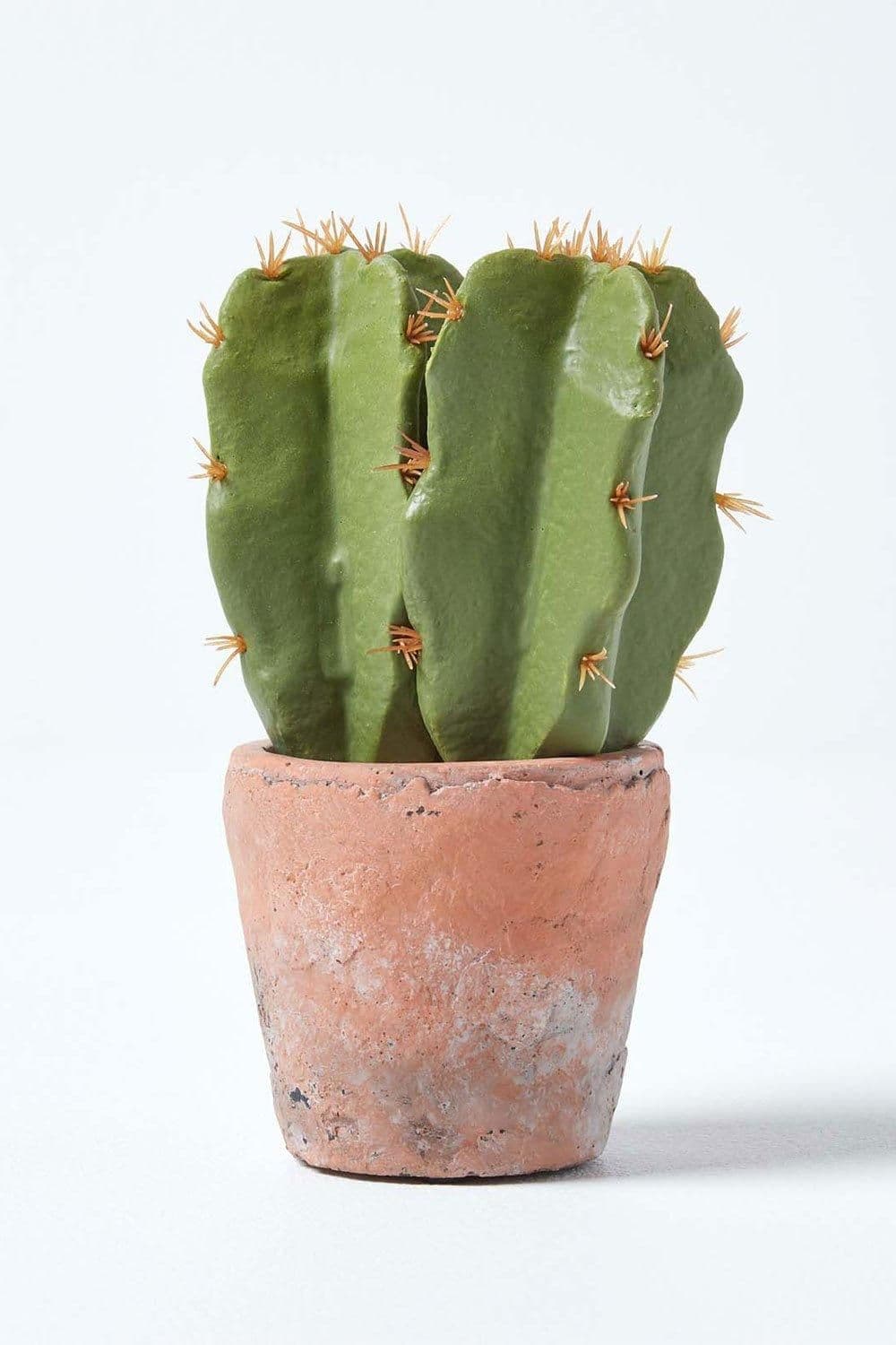 Small Artificial Cactus Terracotta Pot 17cm Tall