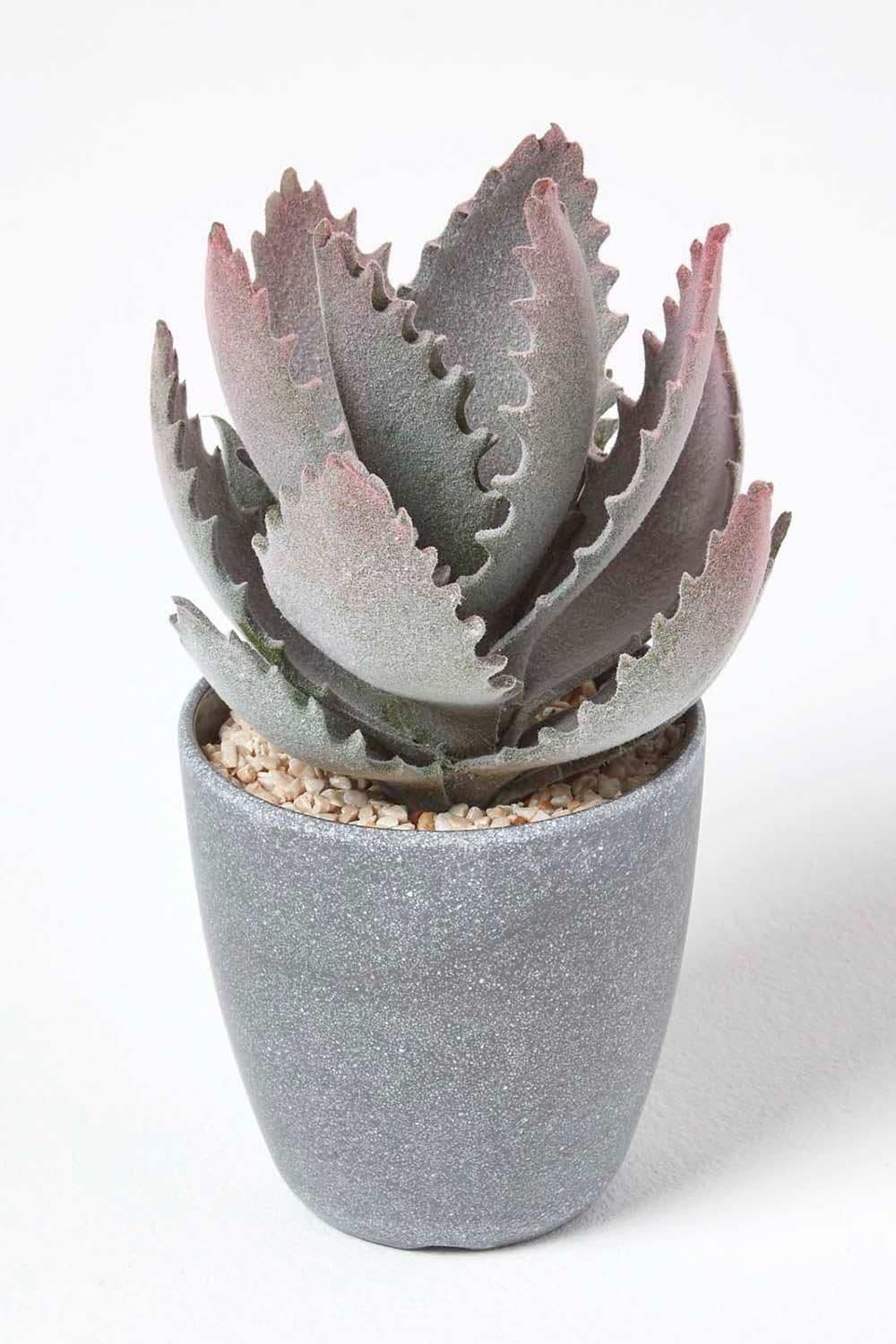 Purple Aloe Vera Artificial Succulent Grey Pot
