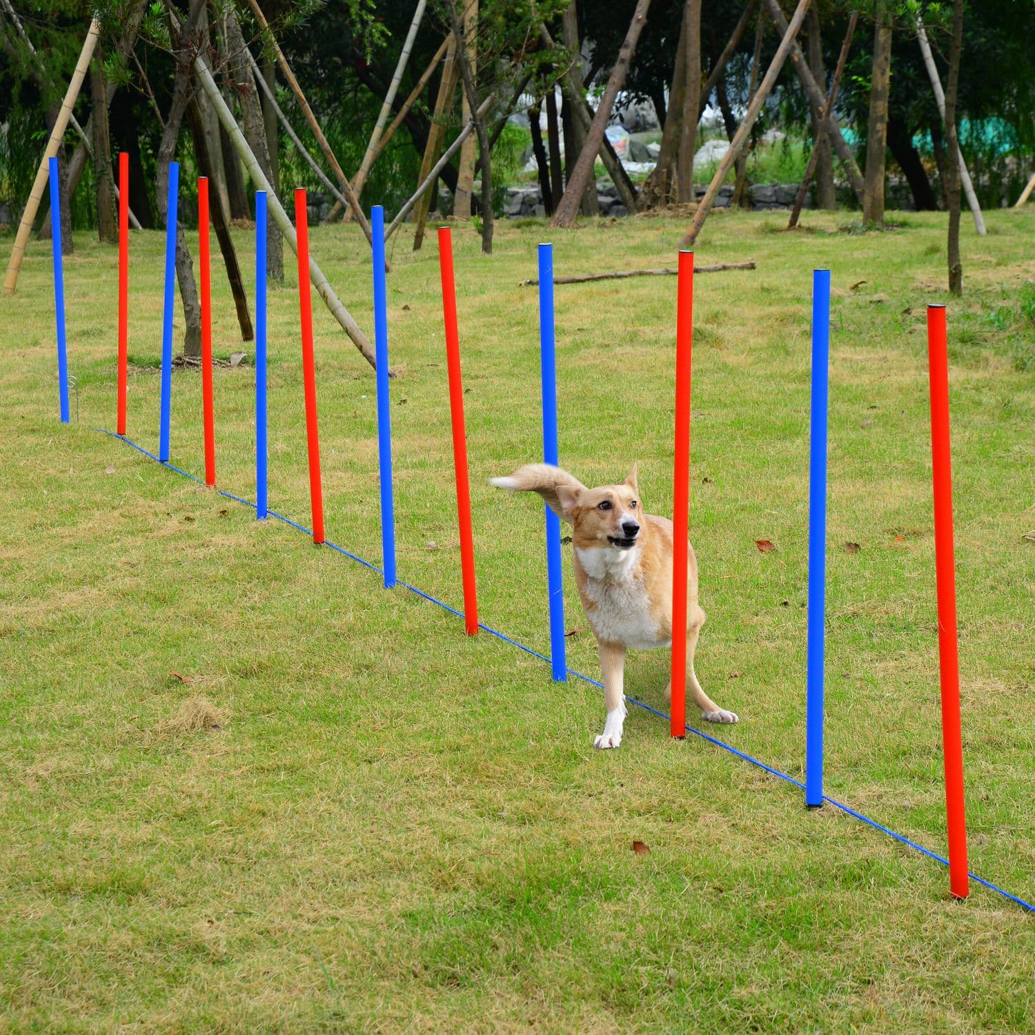 Pet Agility Set Training Play Kit Dog Hoop Poles Tunnel Obedience