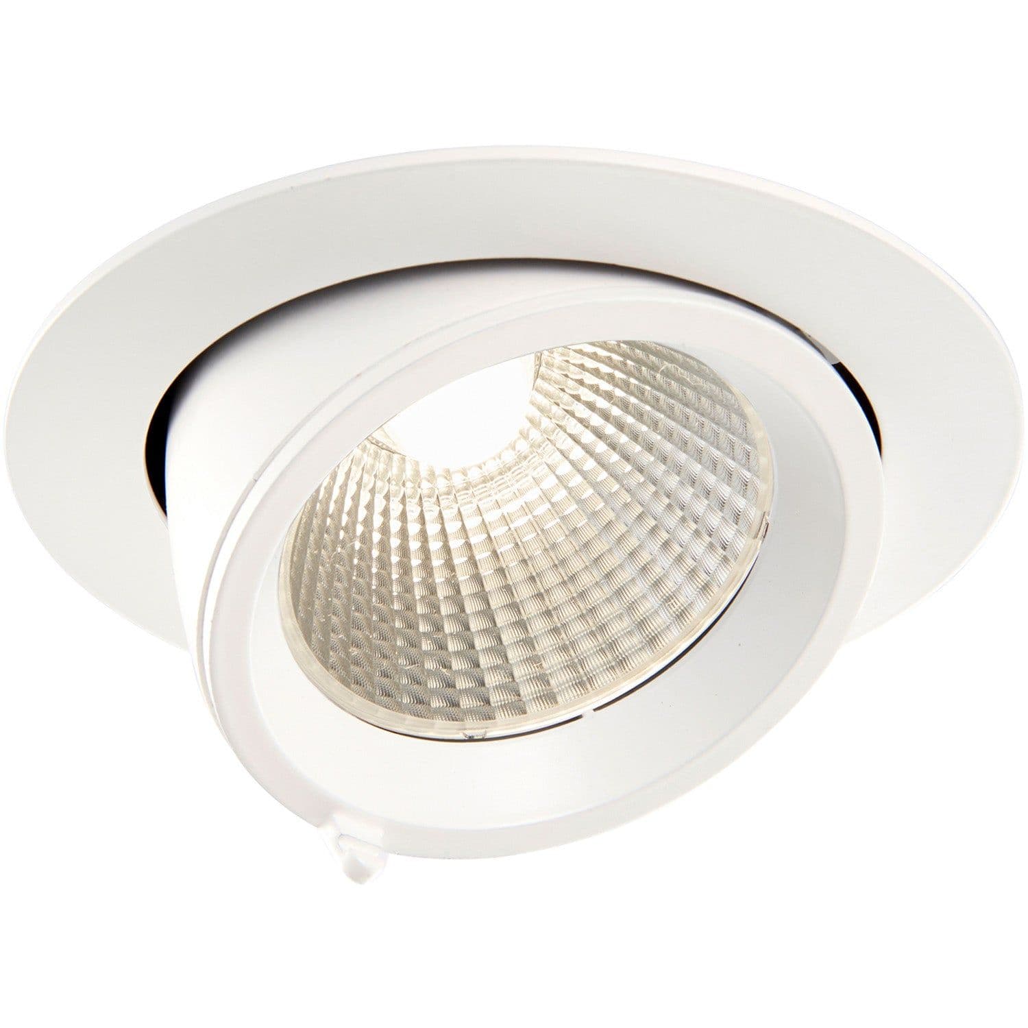 Fully Adjustable Recessed Ceiling Downlight 30W Cool LED Matt