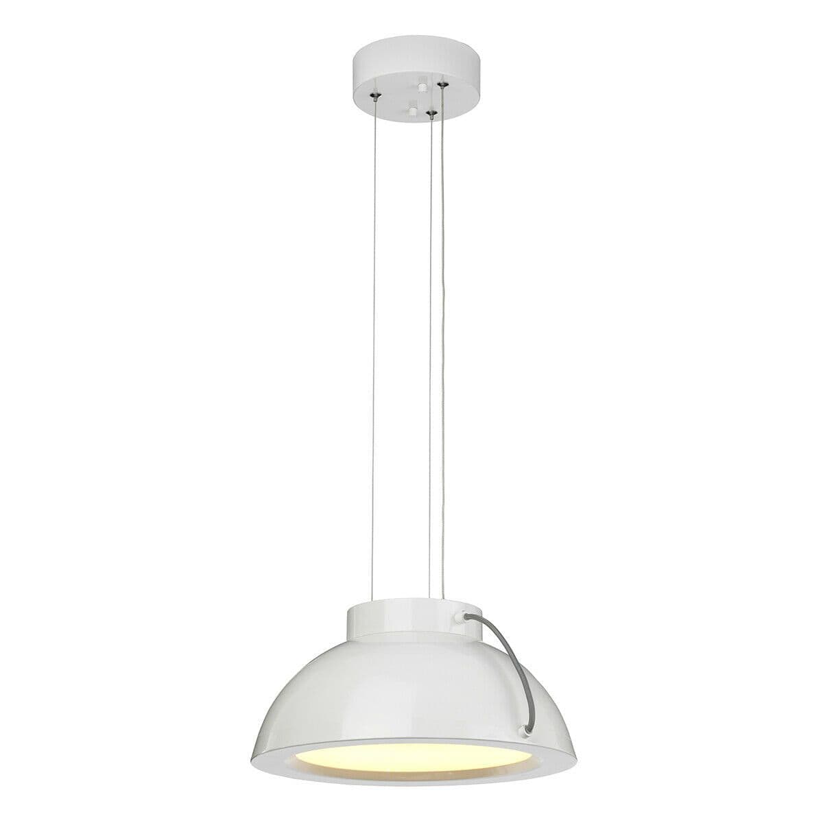 1 Bulb Ceiling Pendant Light Fitting Painted LED 20W Bulb