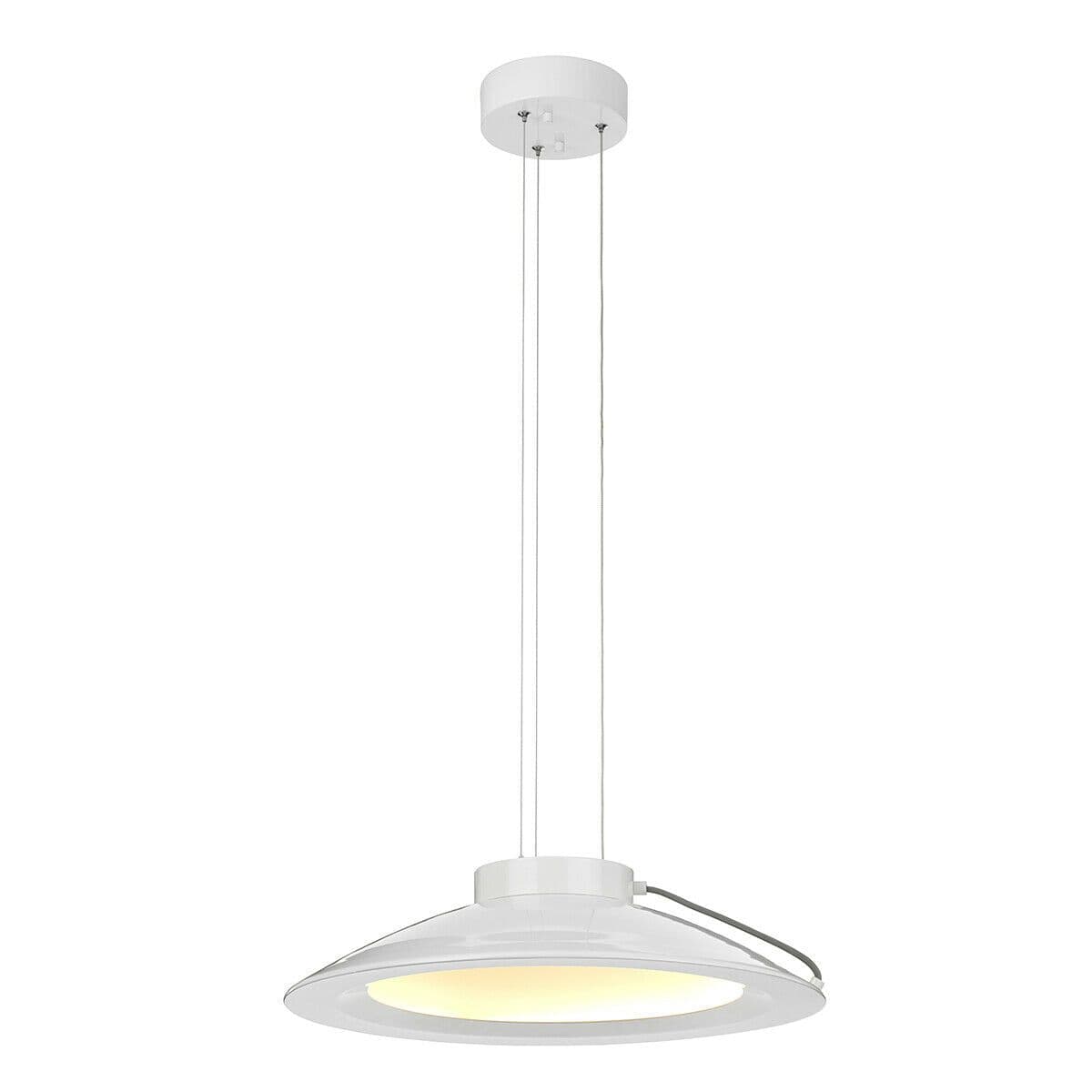 1 Bulb Ceiling Pendant Light Fitting Painted LED 36W Bulb