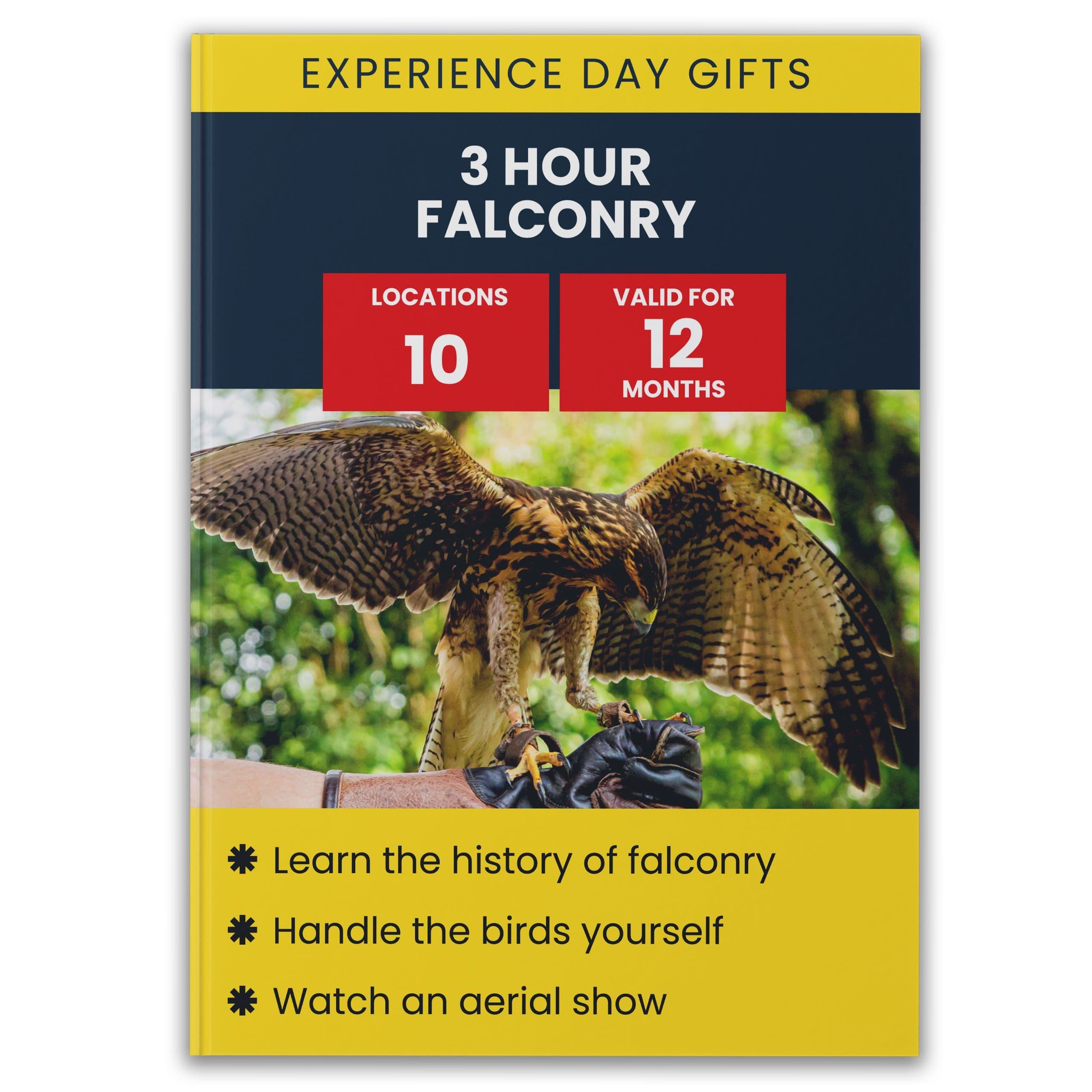 3 Hour Falconry Gift Experience