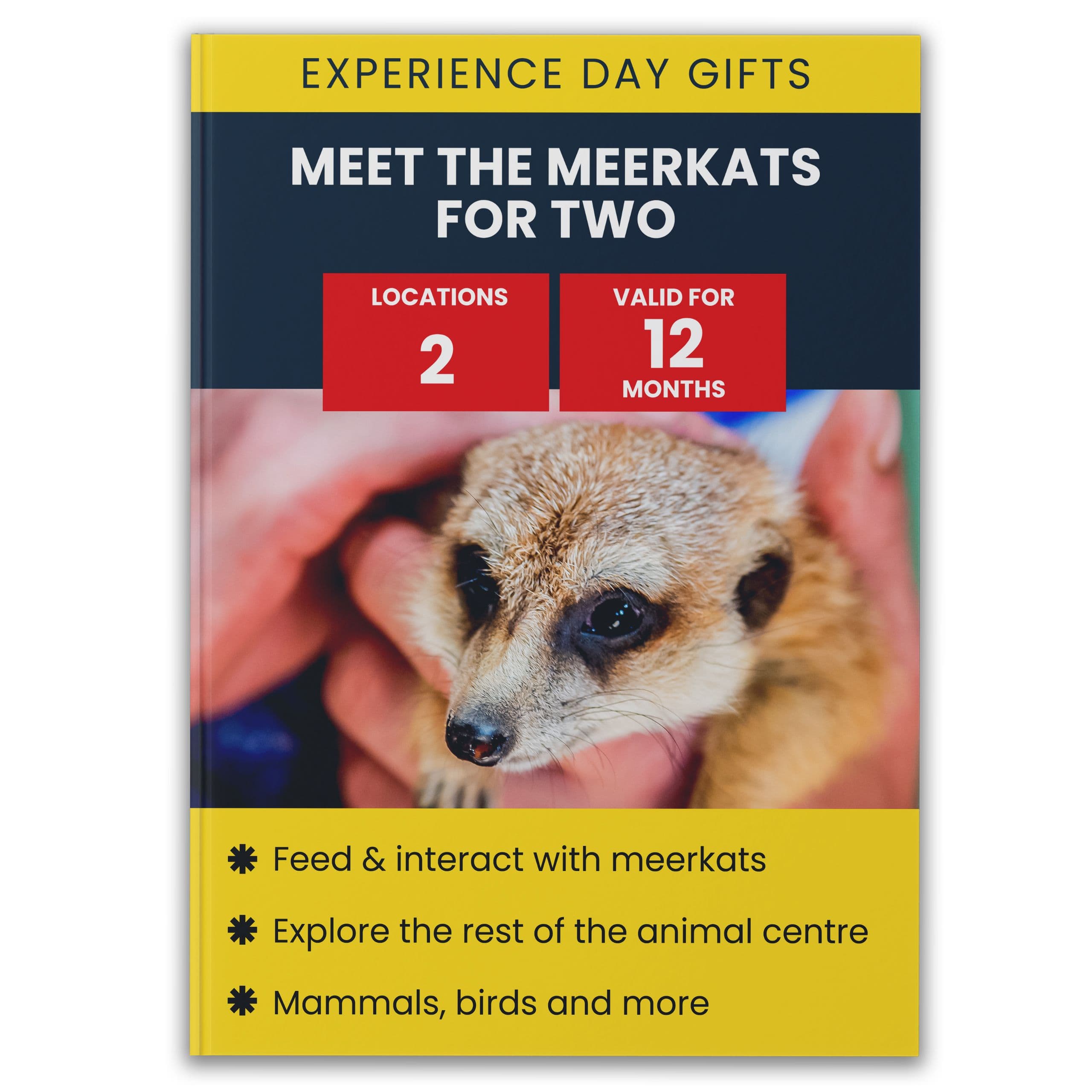 Meerkat Encounter Two Gift Experience