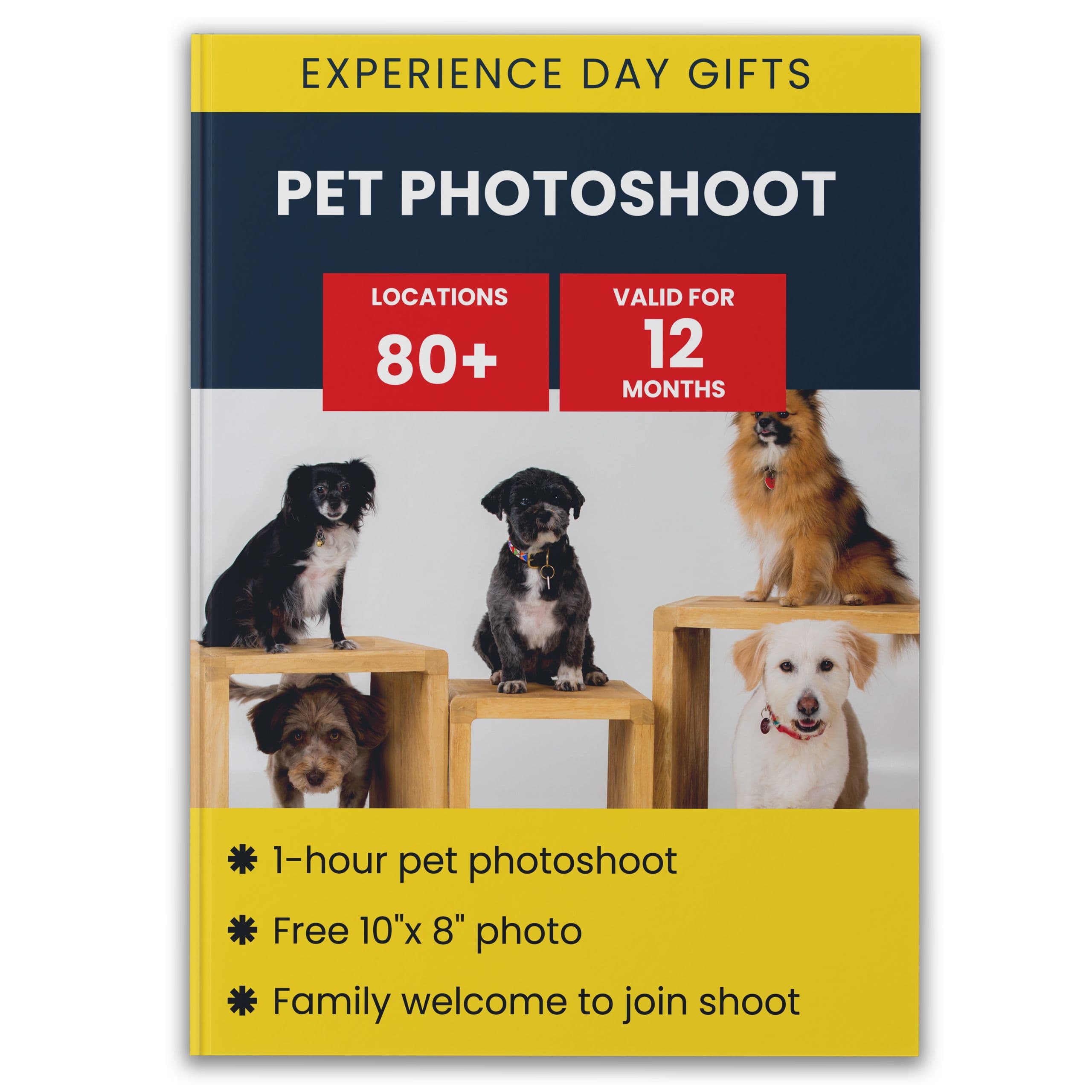Pet Portrait Gift Experience