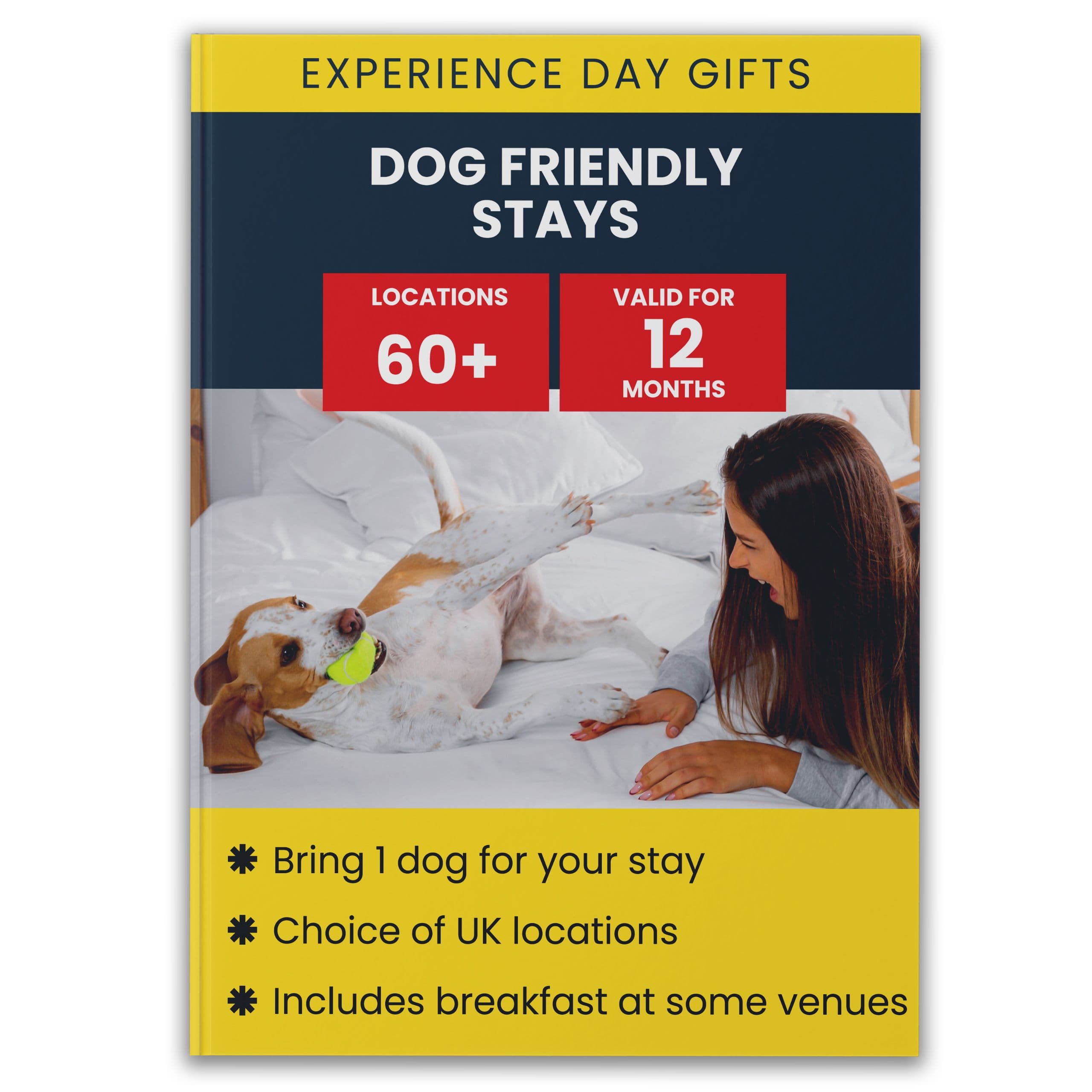 Dog Friendly Hotel Stays Gift Experience