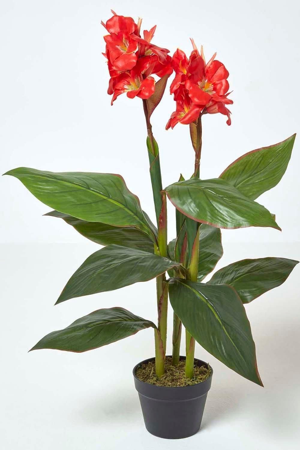 Artificial Canna Lily Plant 90 cm Tall