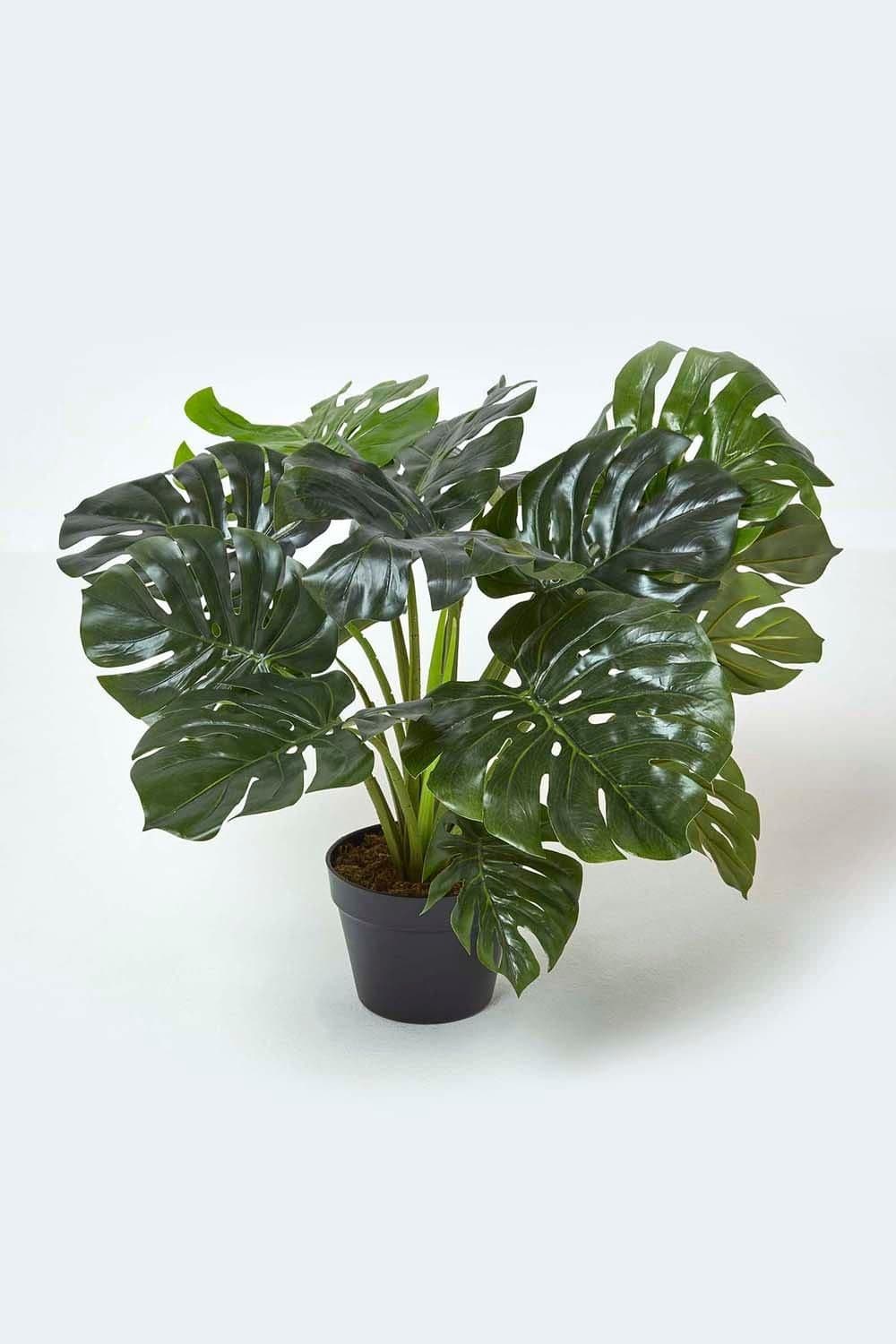 Artificial Monstera Plant 60 cm Tall
