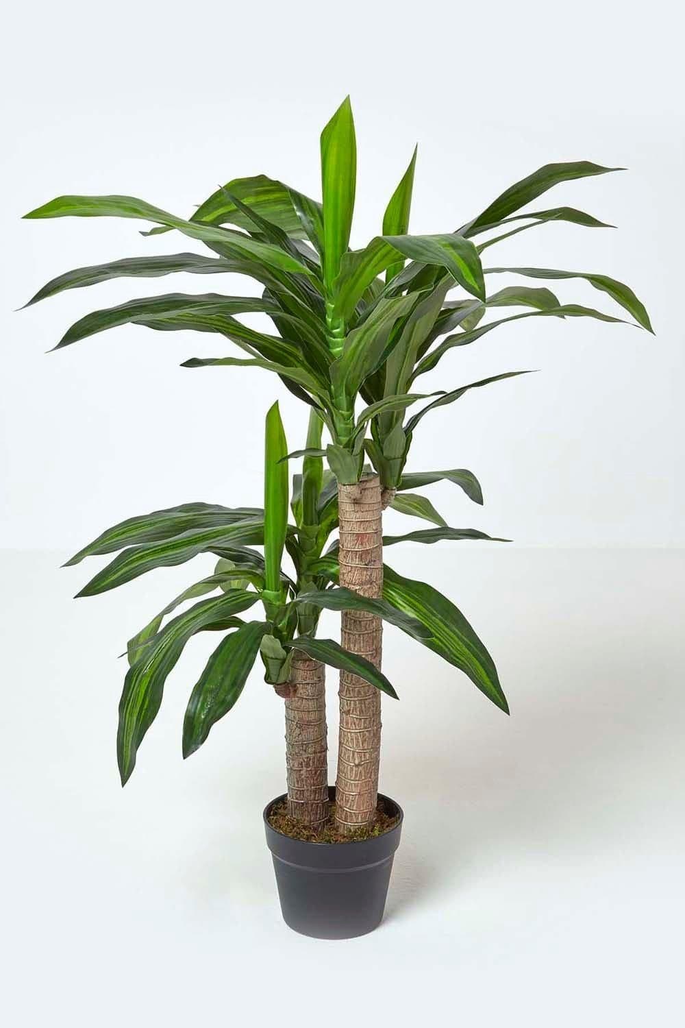 Artificial Dracaena Fragrans Pot 90 cm Tall