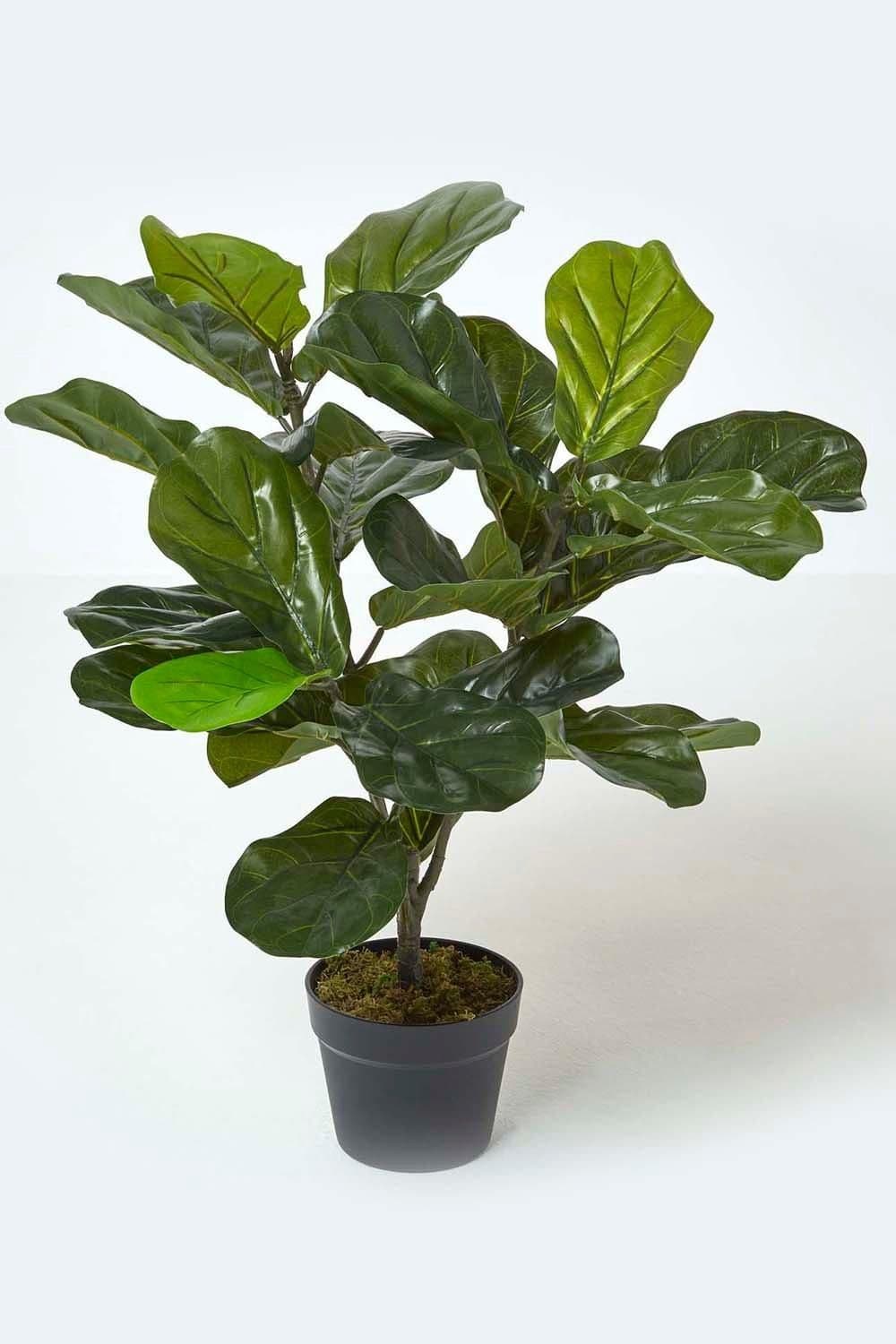 Artificial Fiddle Leaf Fig Tree Pot 70 cm Tall