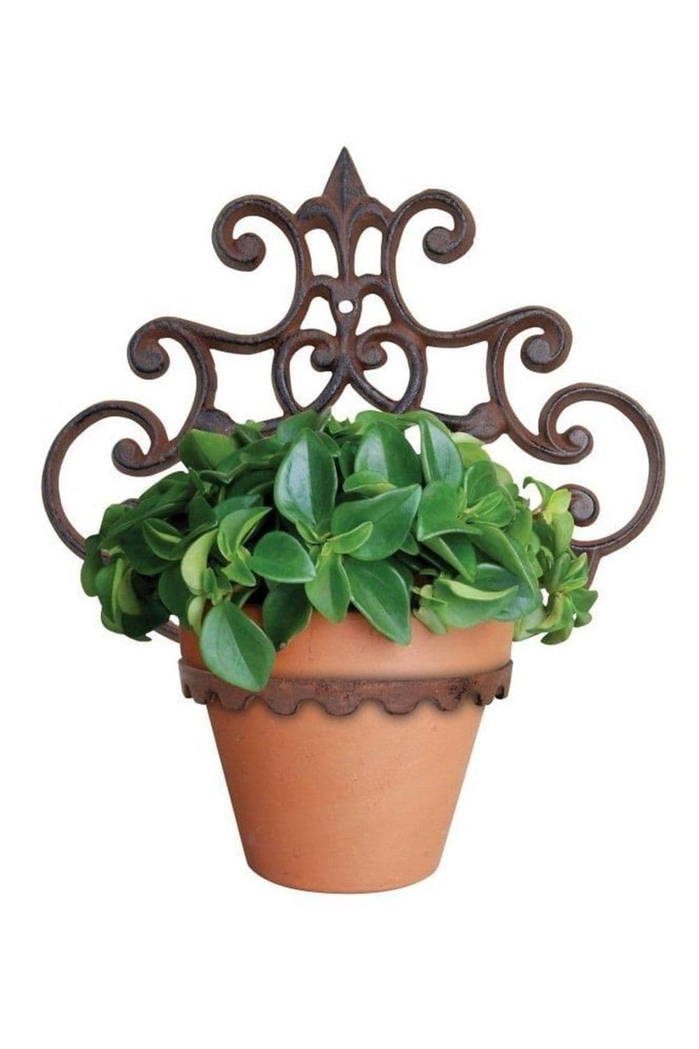 Cast Iron Parisian Style Single Flowerpot Holder