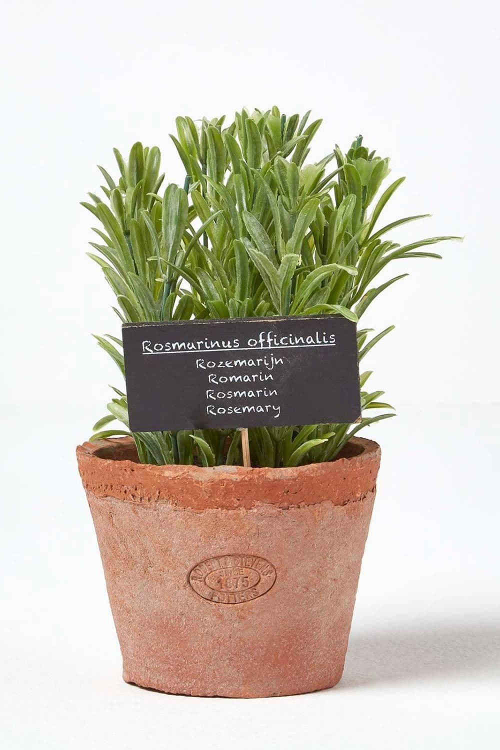 Artificial Rosemary Plant Decorative Pot