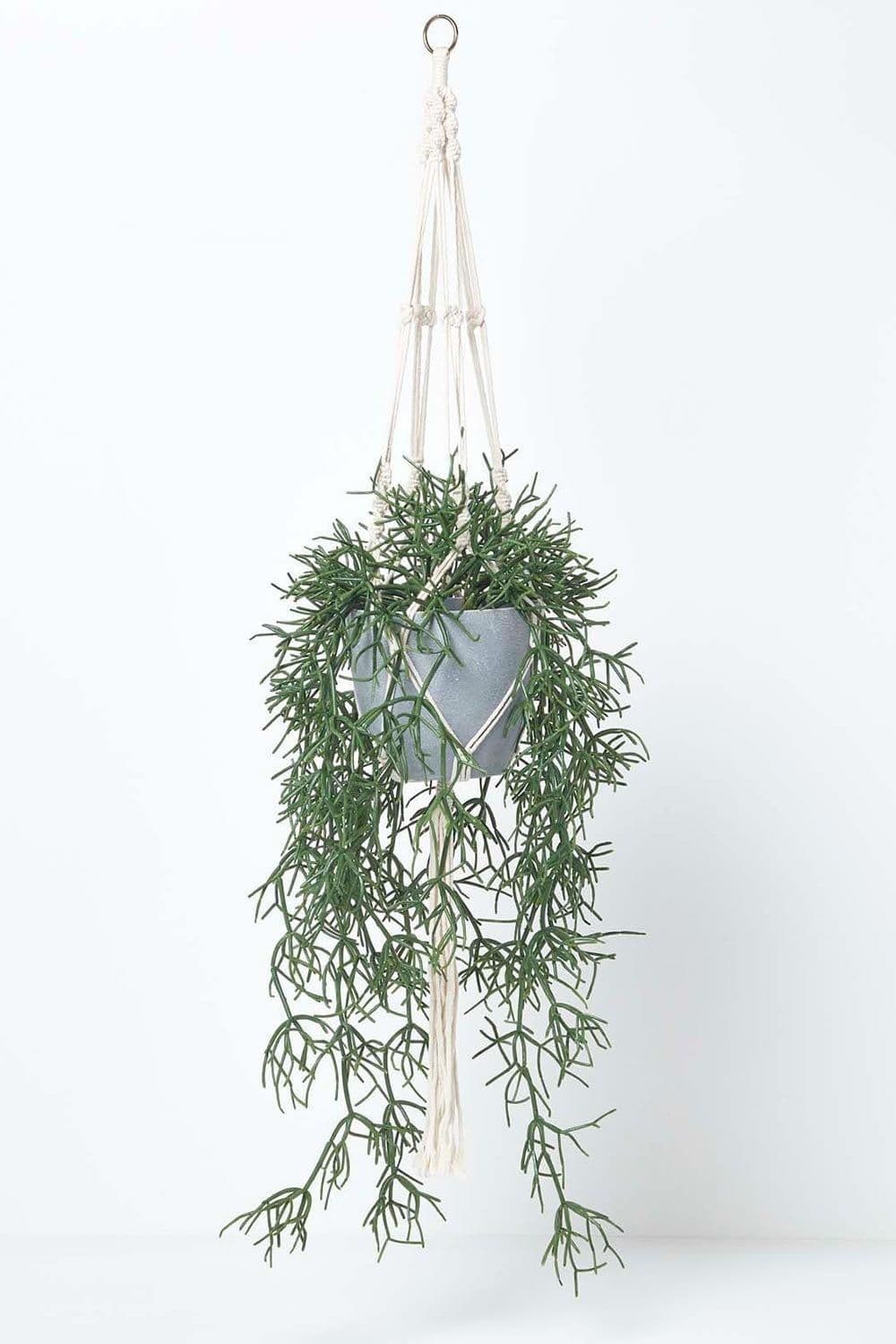 Artificial Hanging Basket Rhipsalis Plant 116 cm
