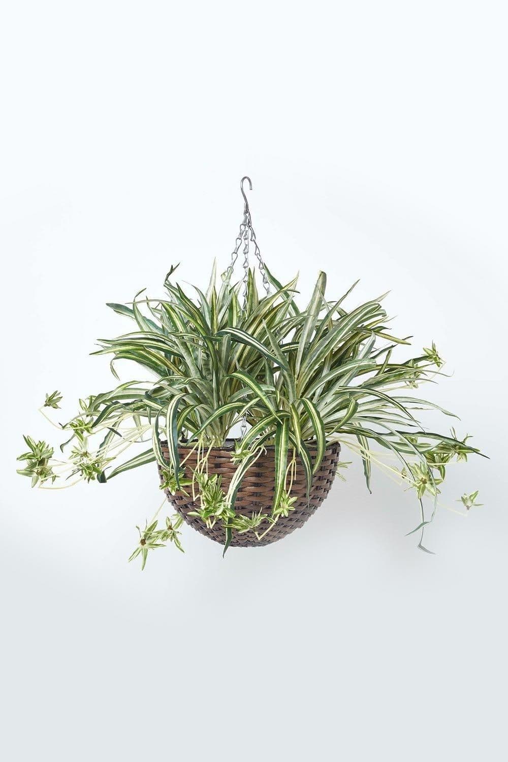 Artificial Hanging Basket Spider Plant 60 cm