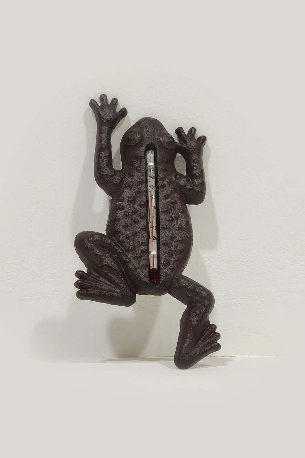 Cast Iron Thermometer Frog