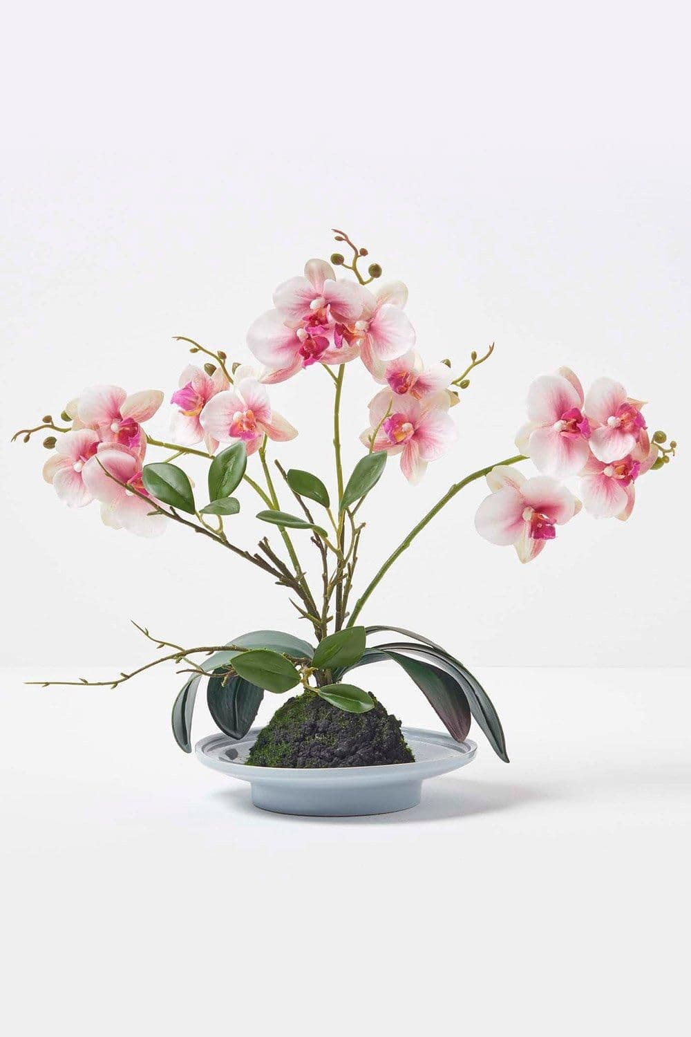 Pink Orchid 38 cm Phalaenopsis Ceramic Pot
