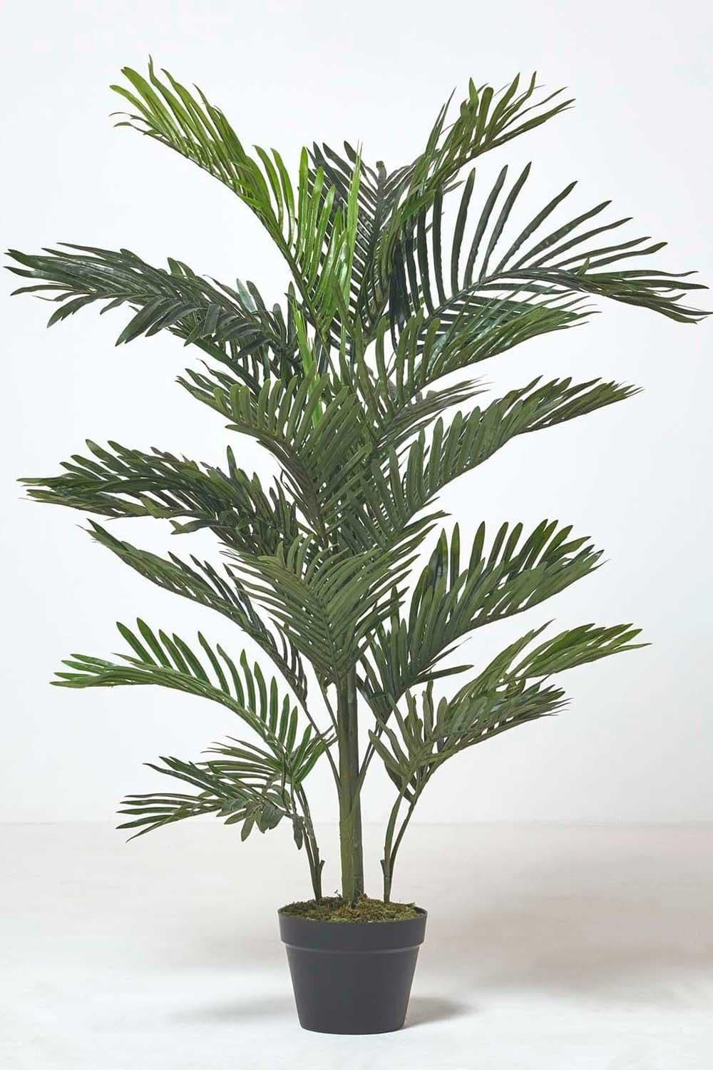 Multi Stem Palm Tree Pot 180 cm
