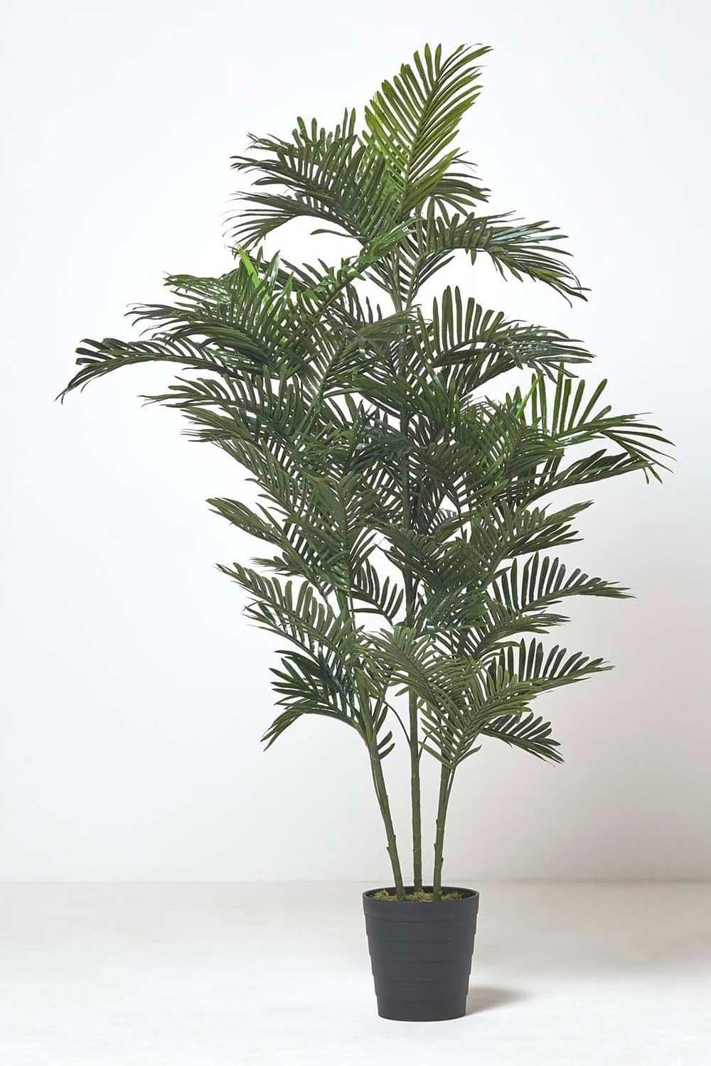 Areca Palm Tree Pot 120 cm Tall