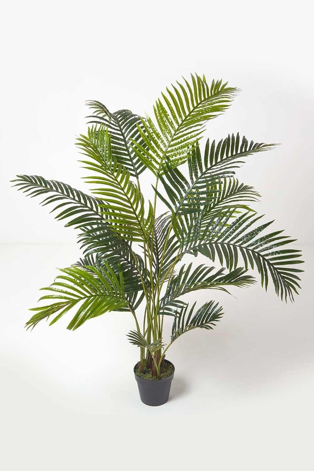 Areca Palm Tree Pot 160 cm Tall