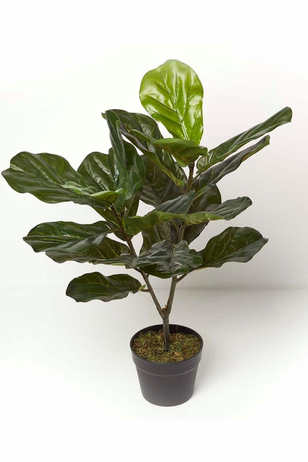 Artificial Fiddle Leaf Fig Tree Pot 75 cm Tall